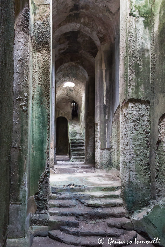 Swimming Pool mirabilis