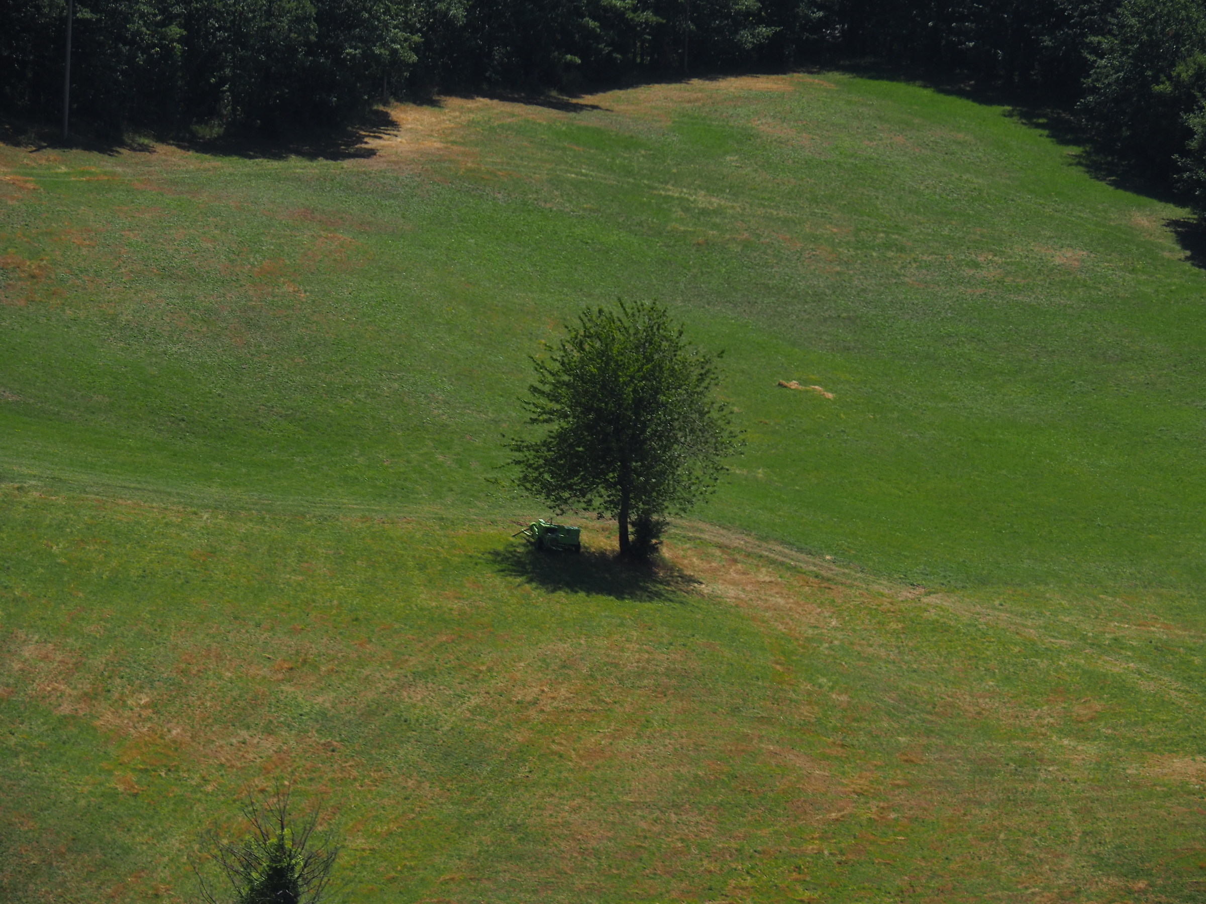 Particolare visto da Roccapelago (mo)