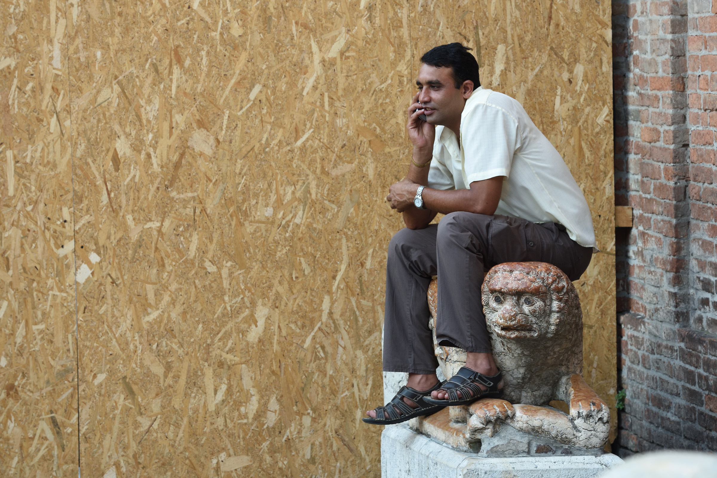 il leone di Bangalore