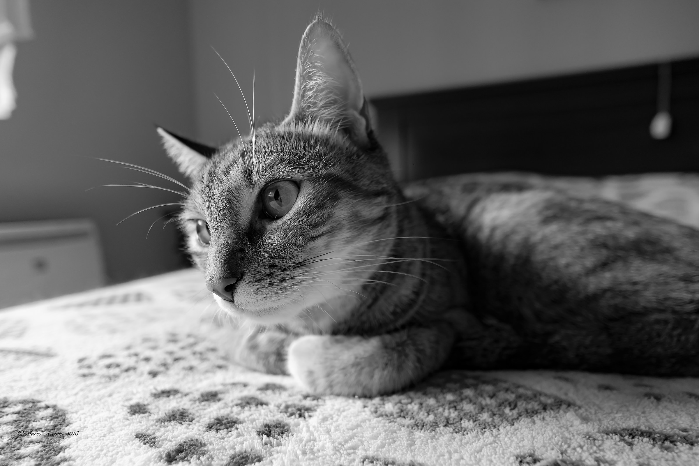 Today I relax and maybe even tomorrow