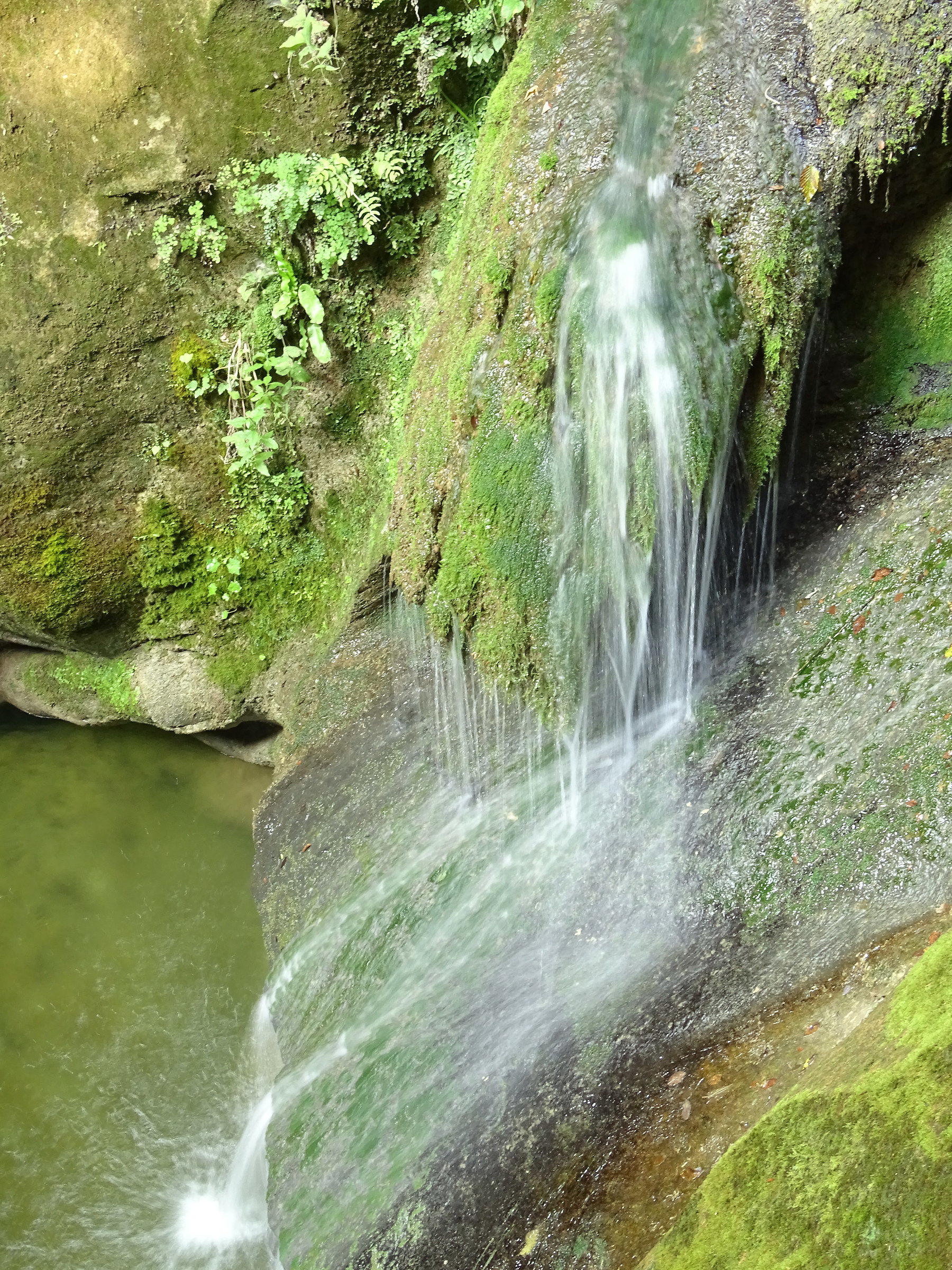 Cascatella alle grotte Caglieron