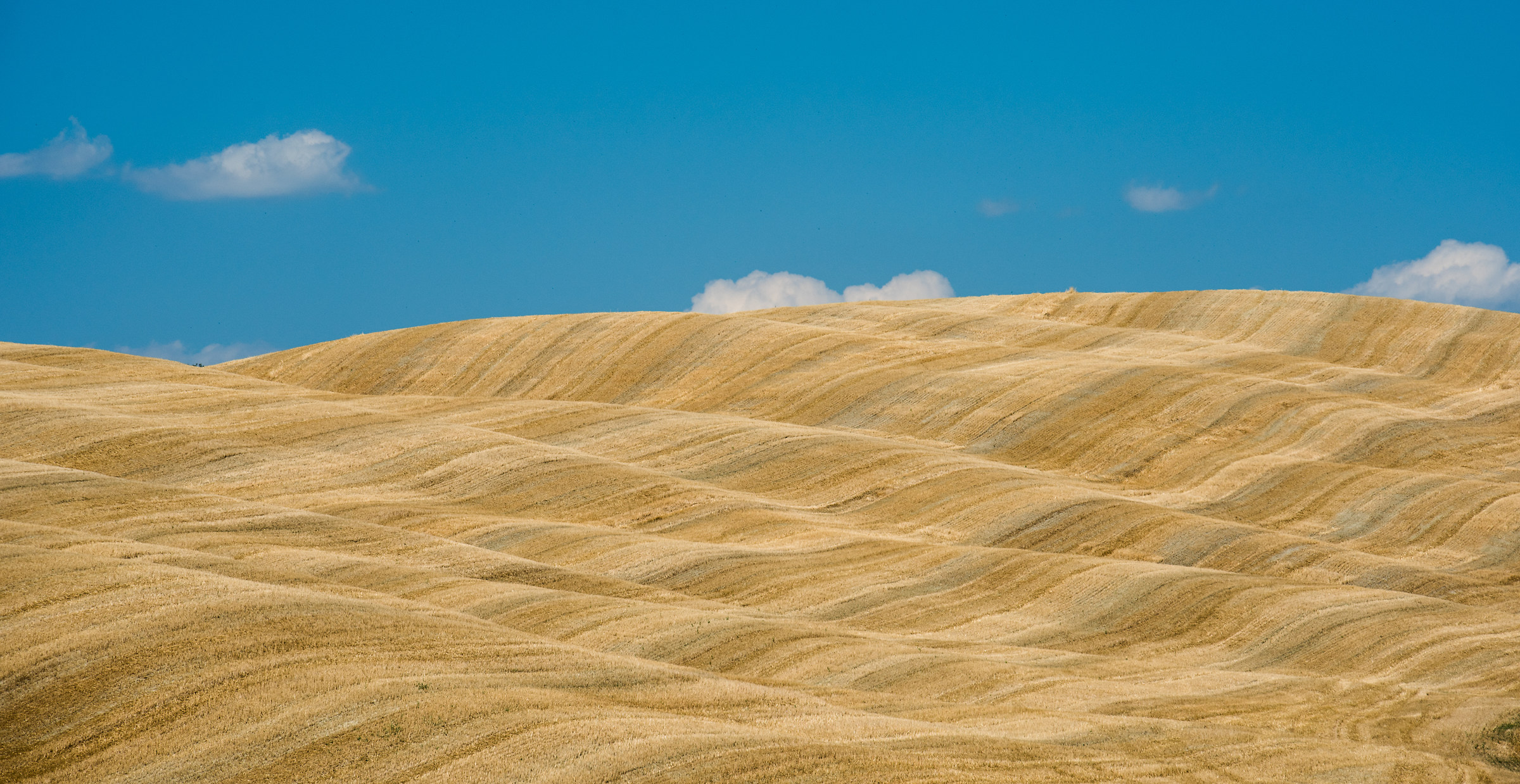 Waves in Val d'orcia