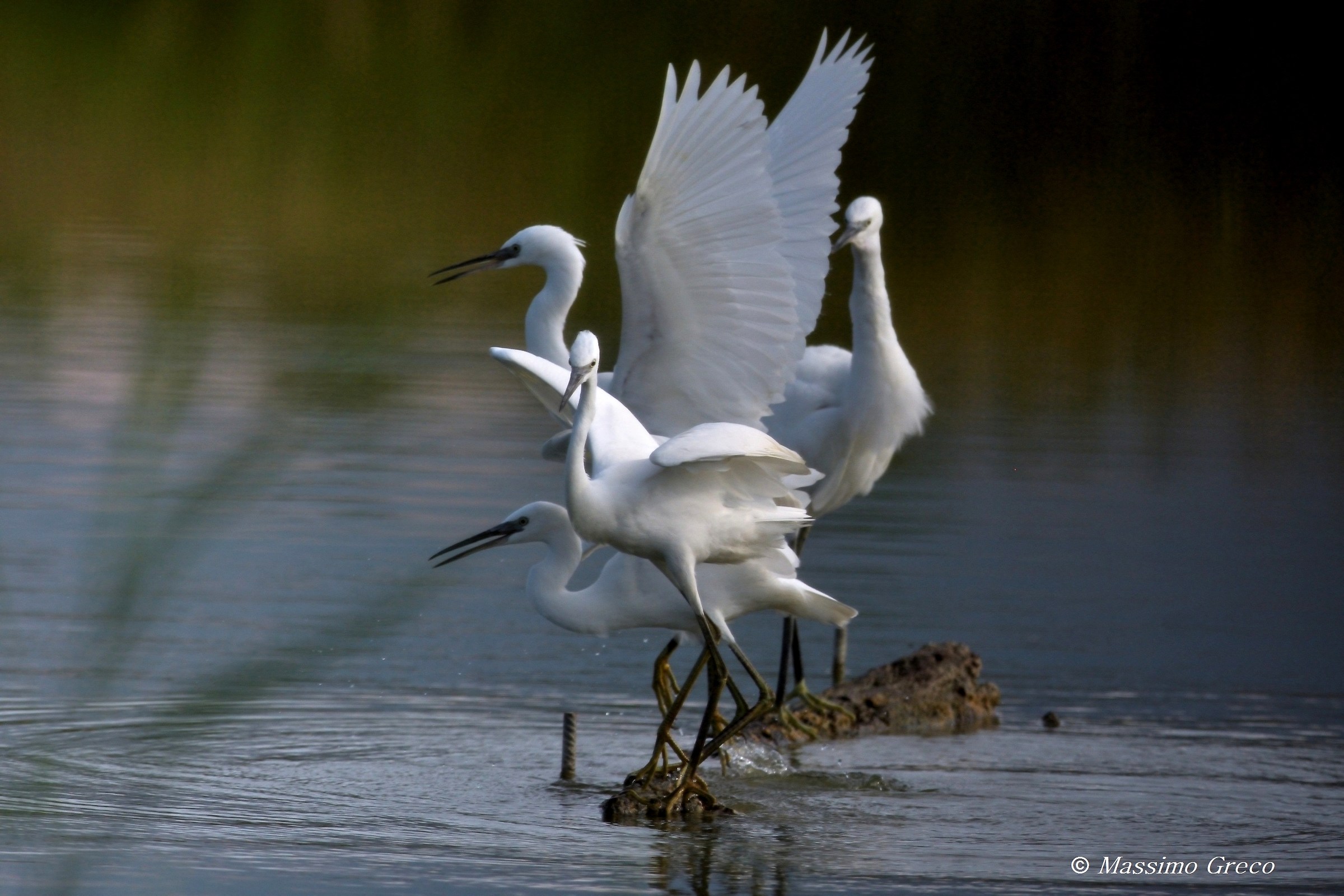 Pensando a Degas... 2
