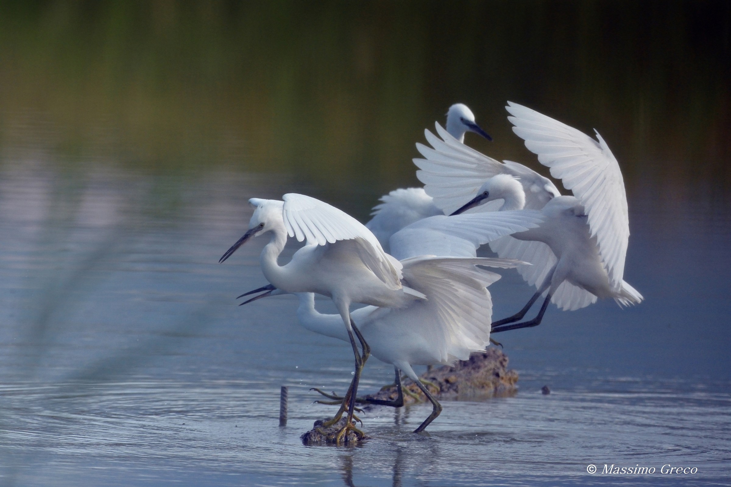 Pensando a Degas... 1