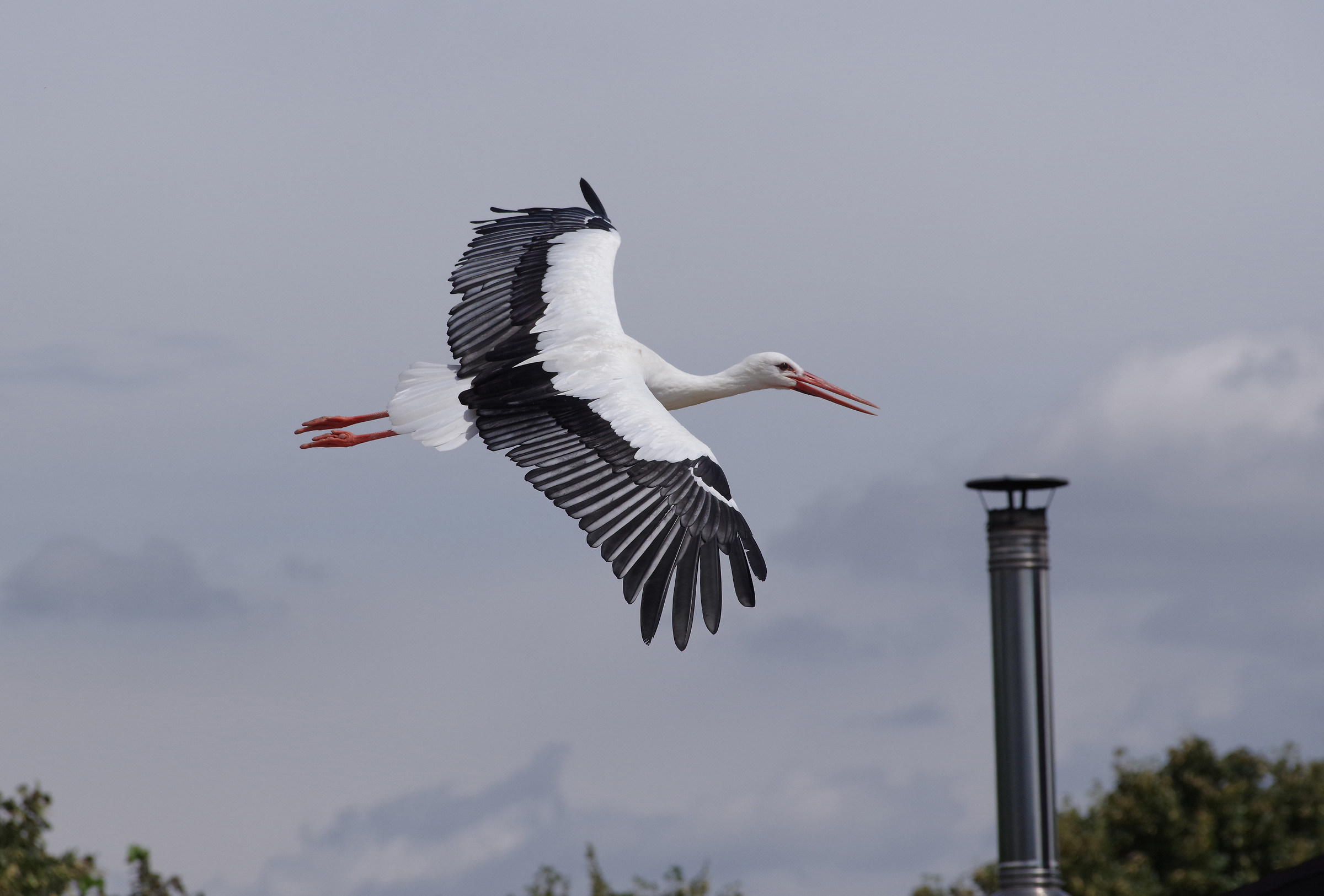 Looking for the right chimney..