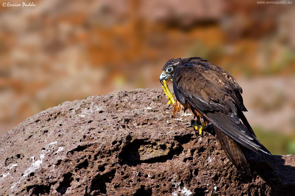 Pedicure dopo il bagno