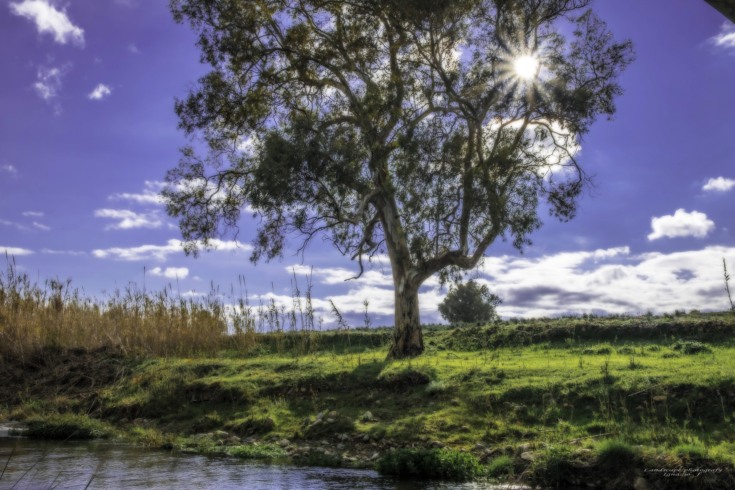 S. Sperate River Embankes