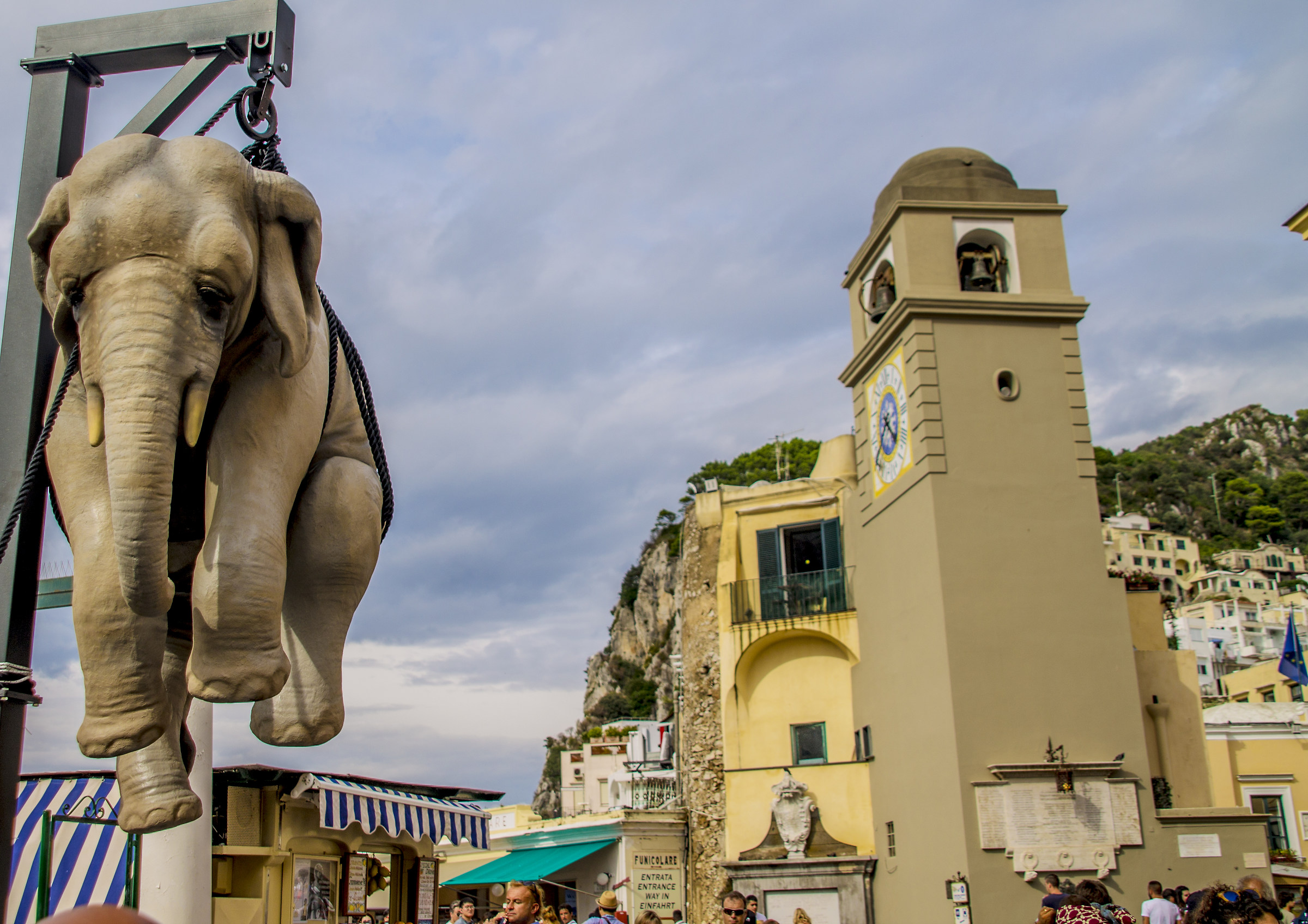 Suspended Elephant