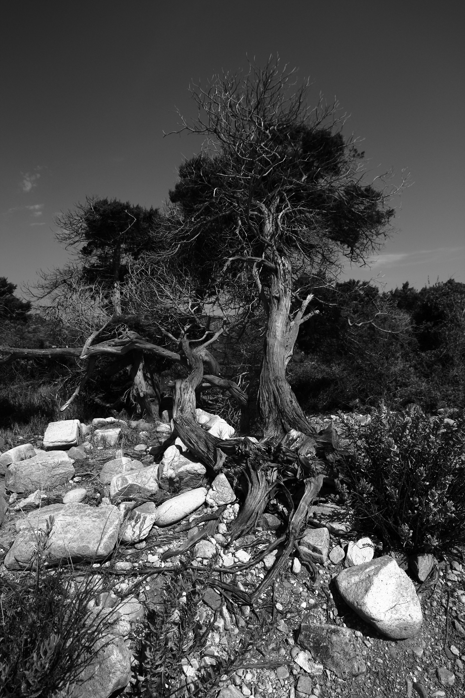 The time that passes