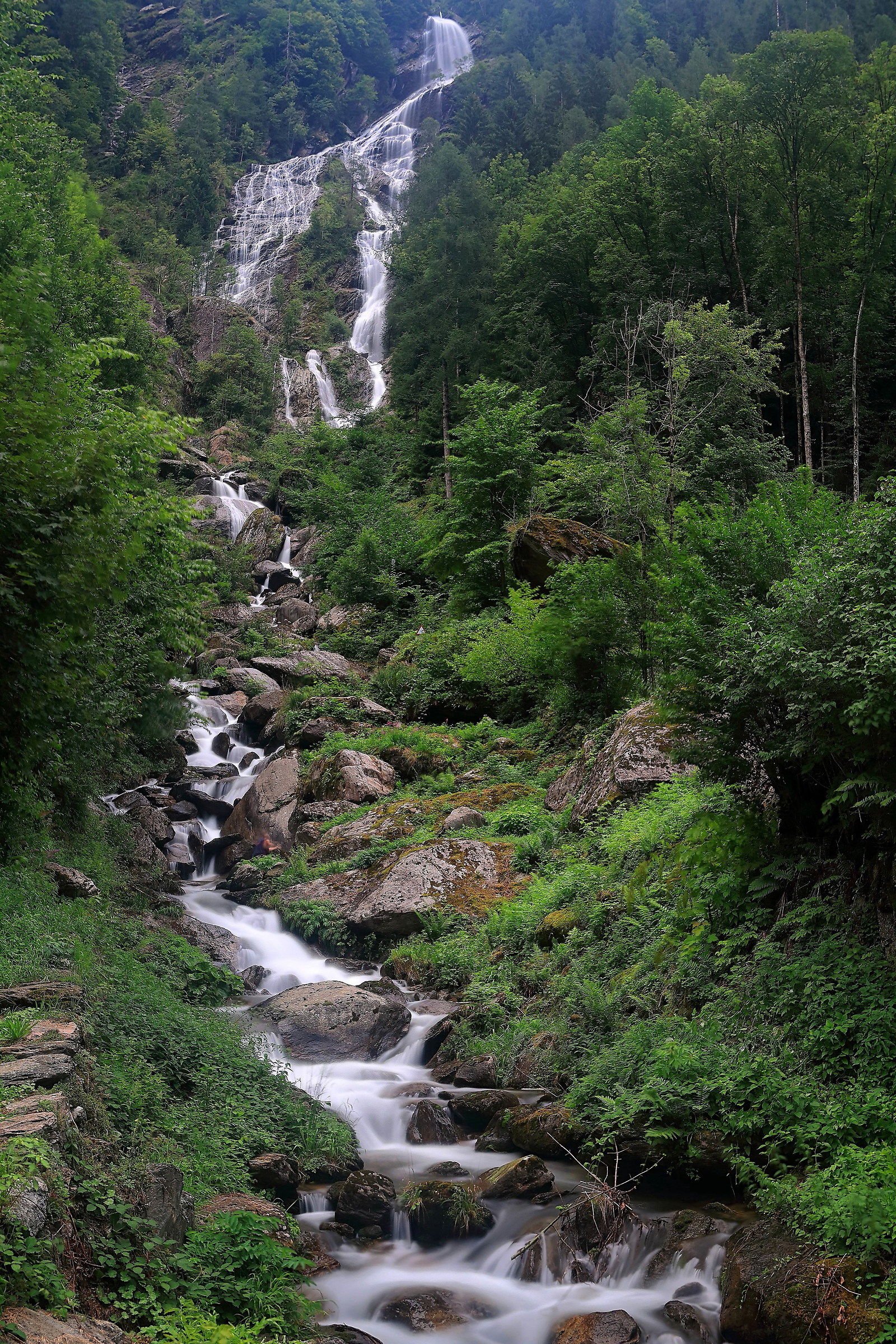 La Borleggia in summer