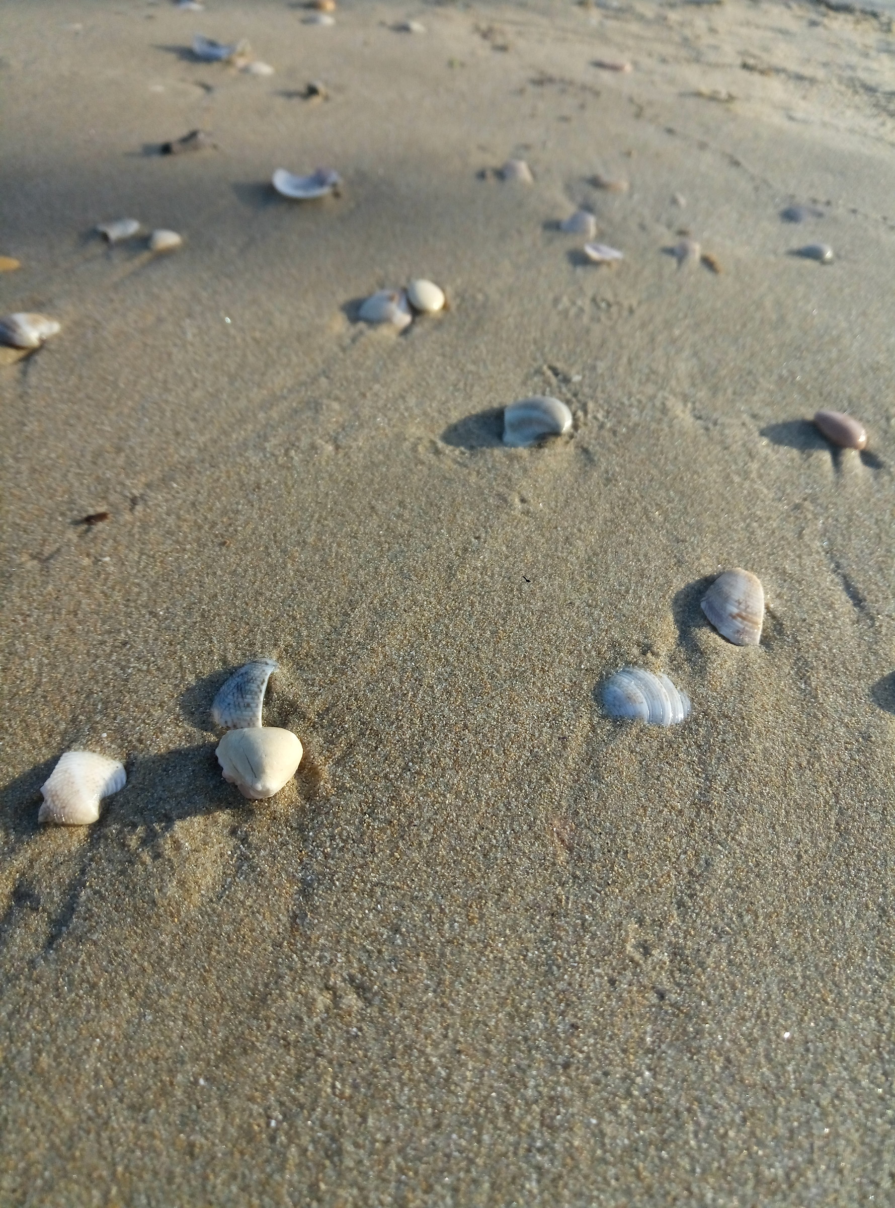 Spiaggia di Grottammare (ap)