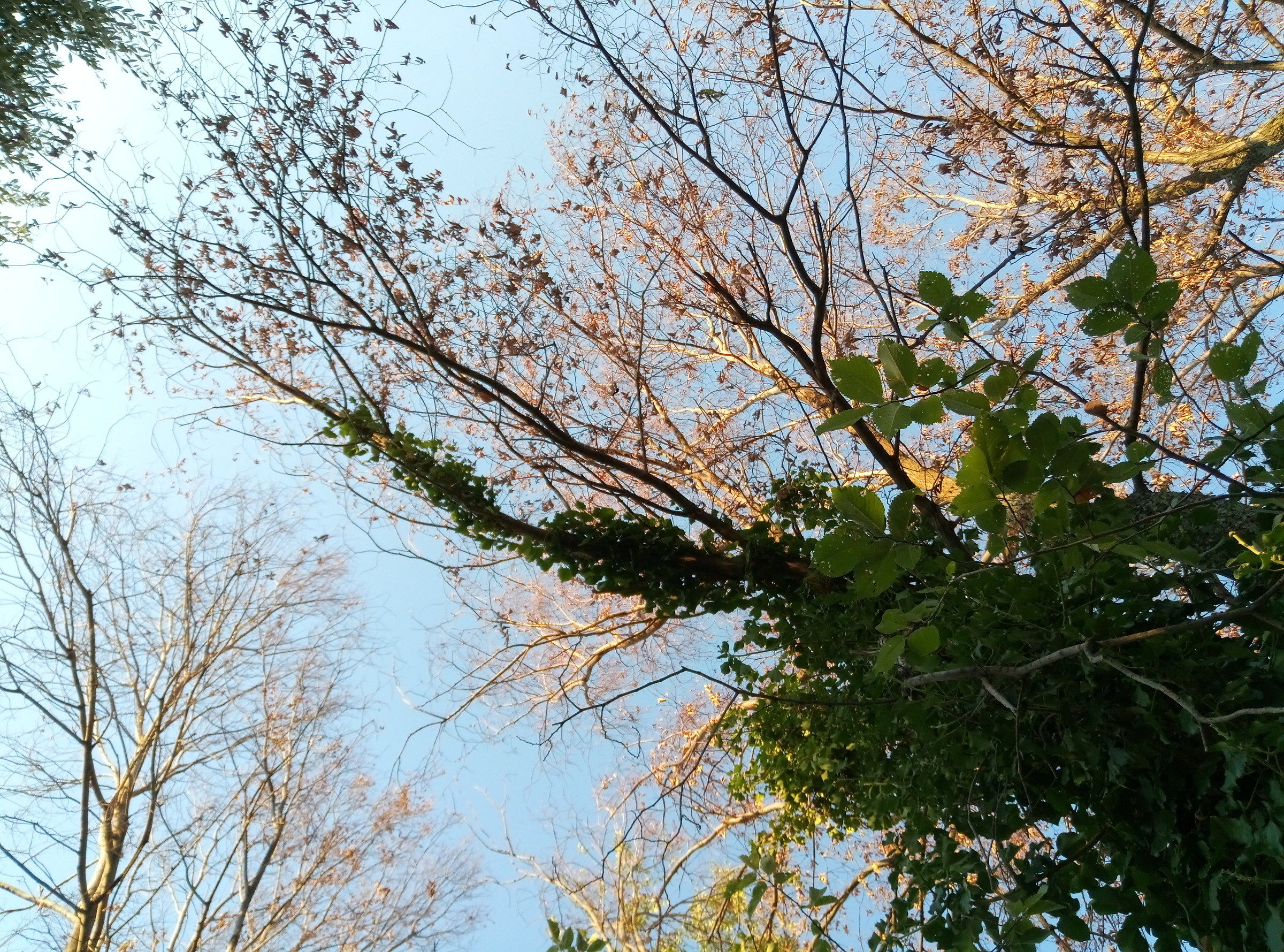 Camminata serale delle 19:00 nelle campagne di Offida