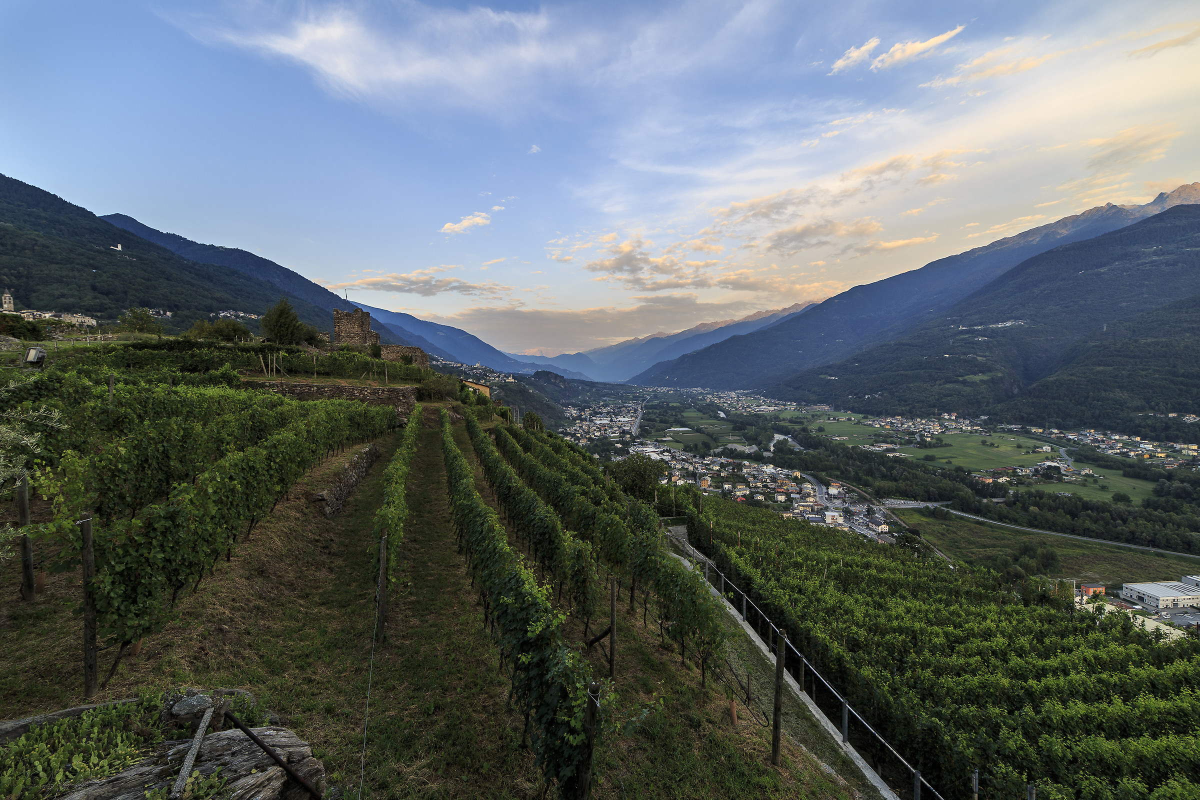 View of the Valtellina from poggilaughing