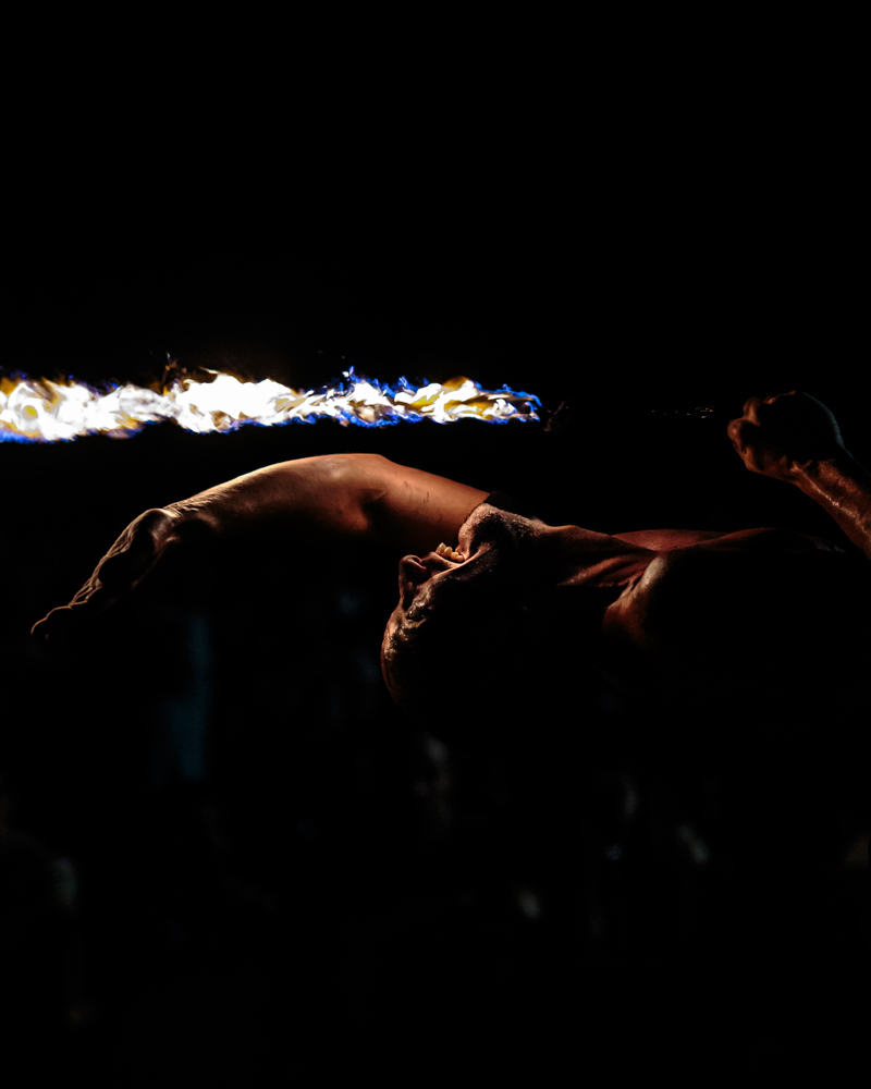 The efforts of the artist