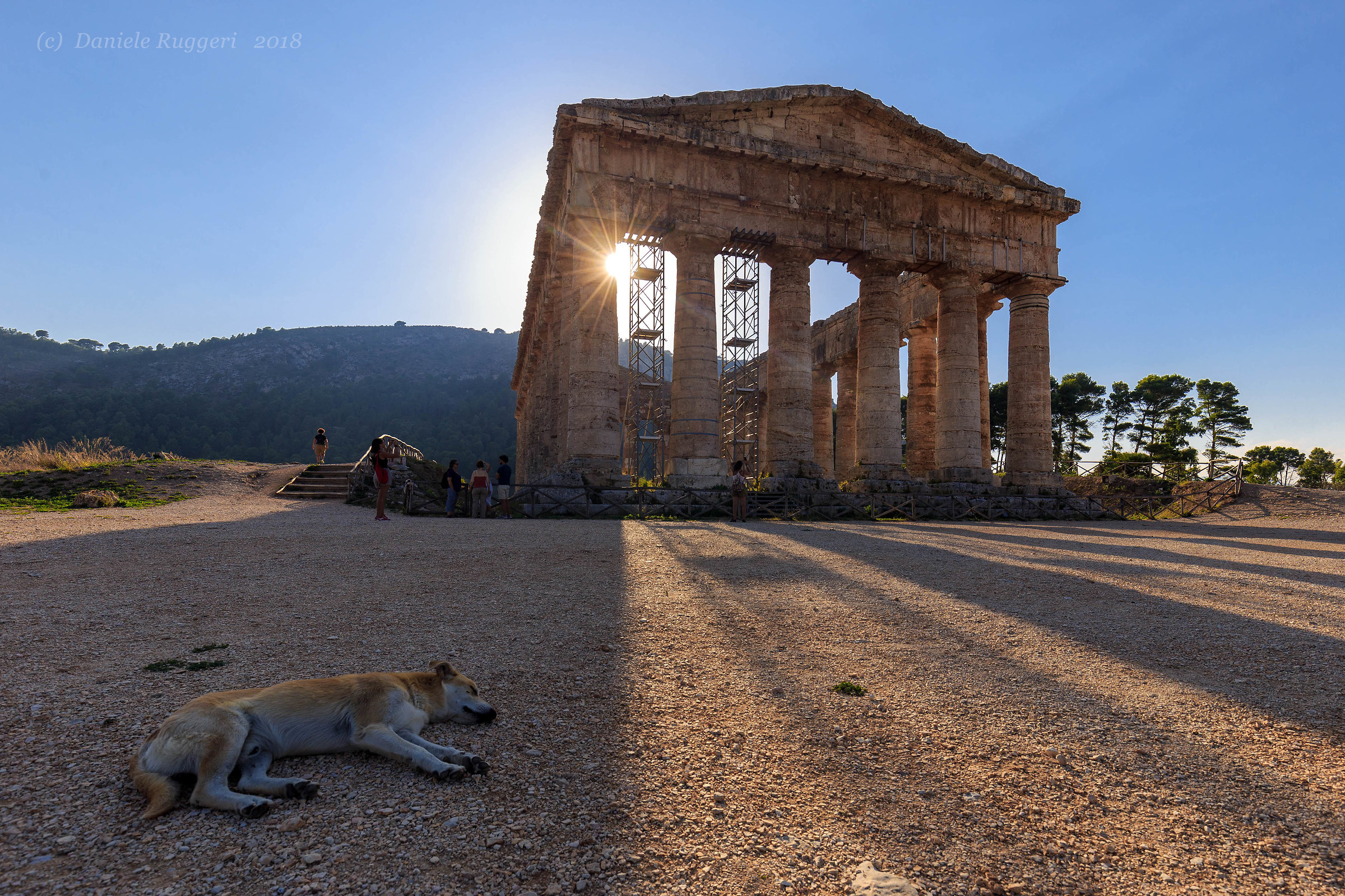 Tempio di Segesta