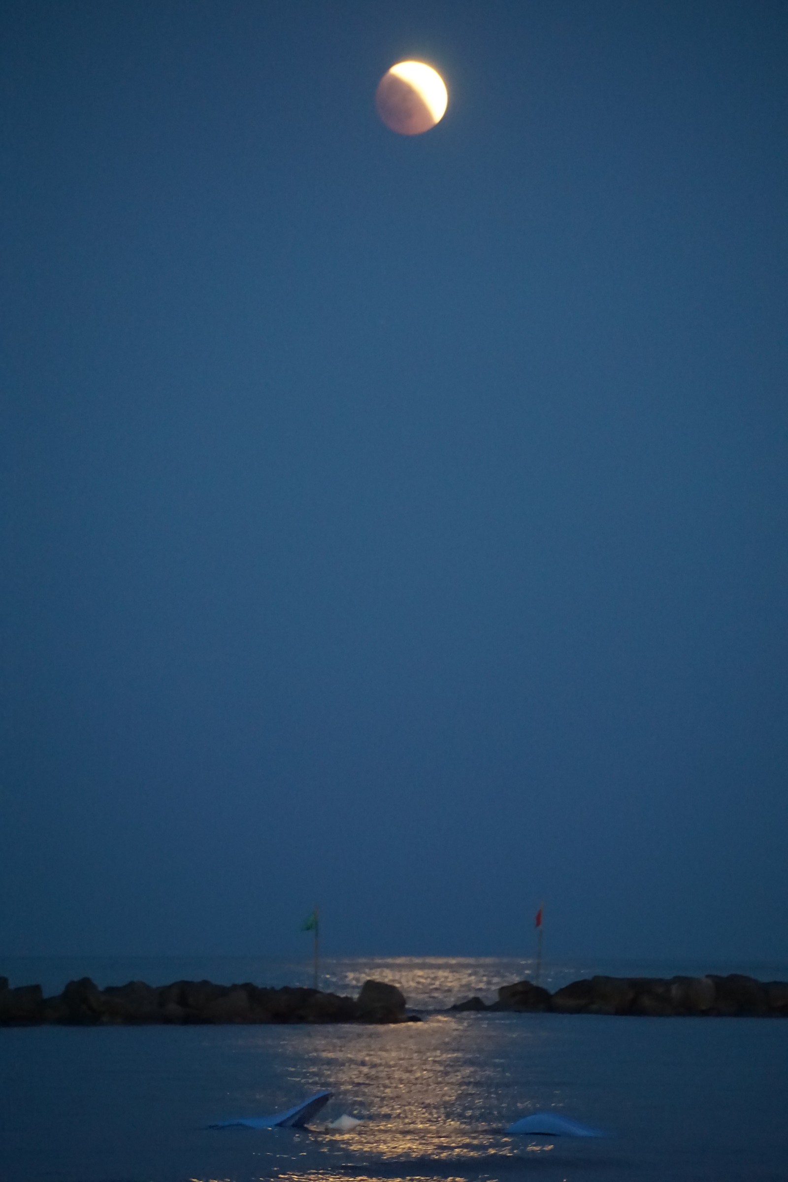 Eclipse at the Beach 4