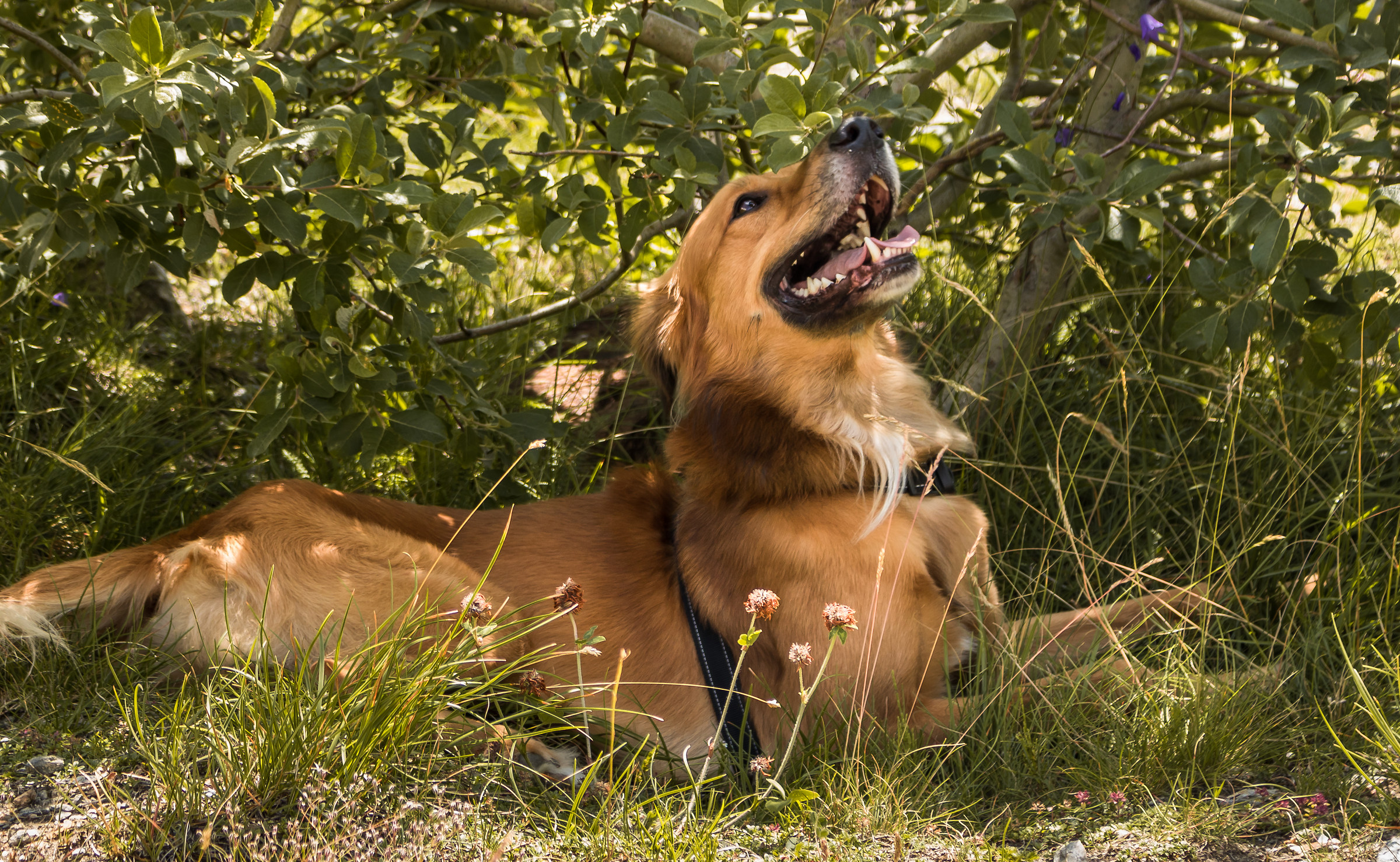 Ritratti morbidosi, part. 2