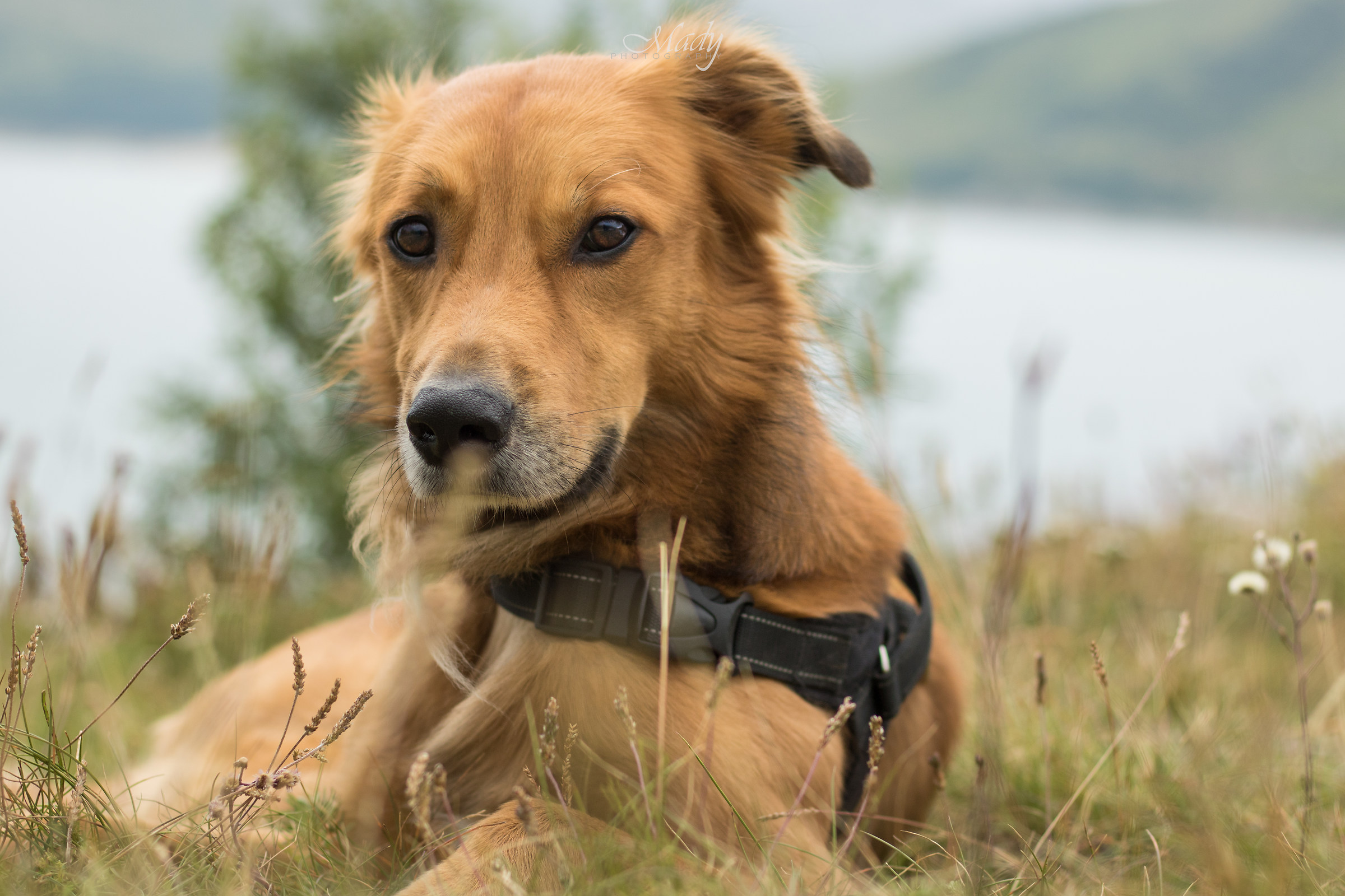 Ritratti morbidosi, part. 4