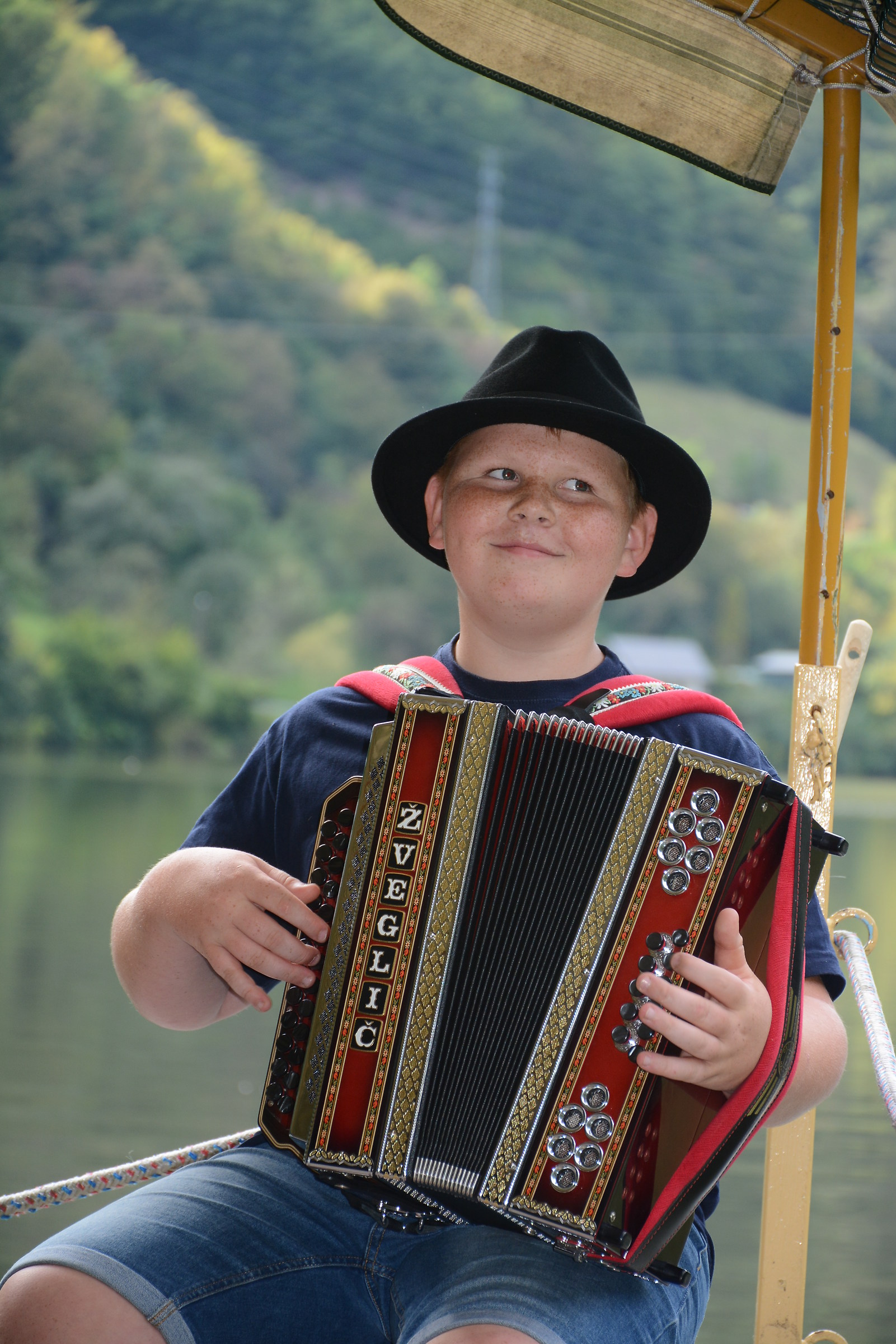 Il suonatore di fisarmonica