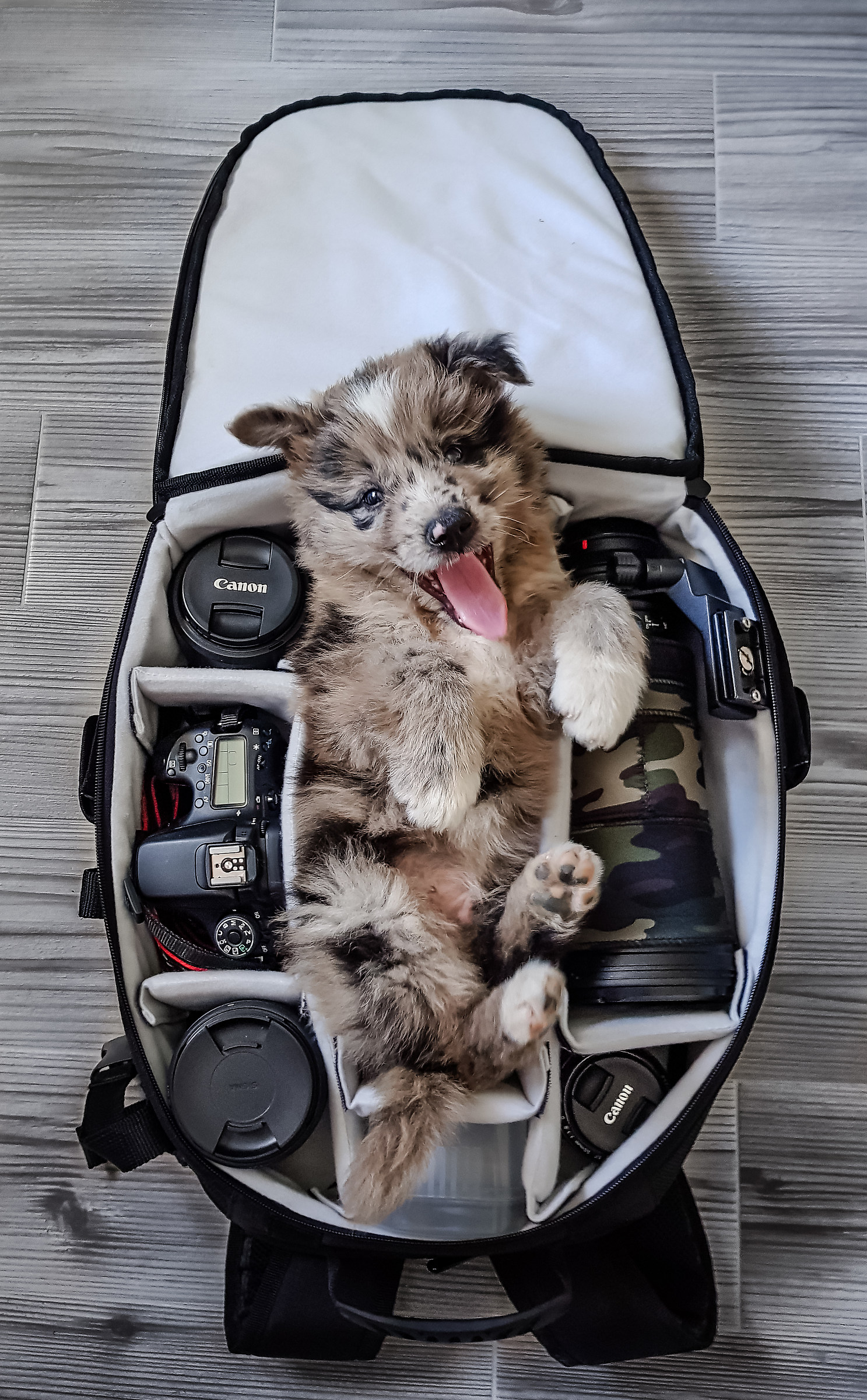 lo zaino delle meraviglie