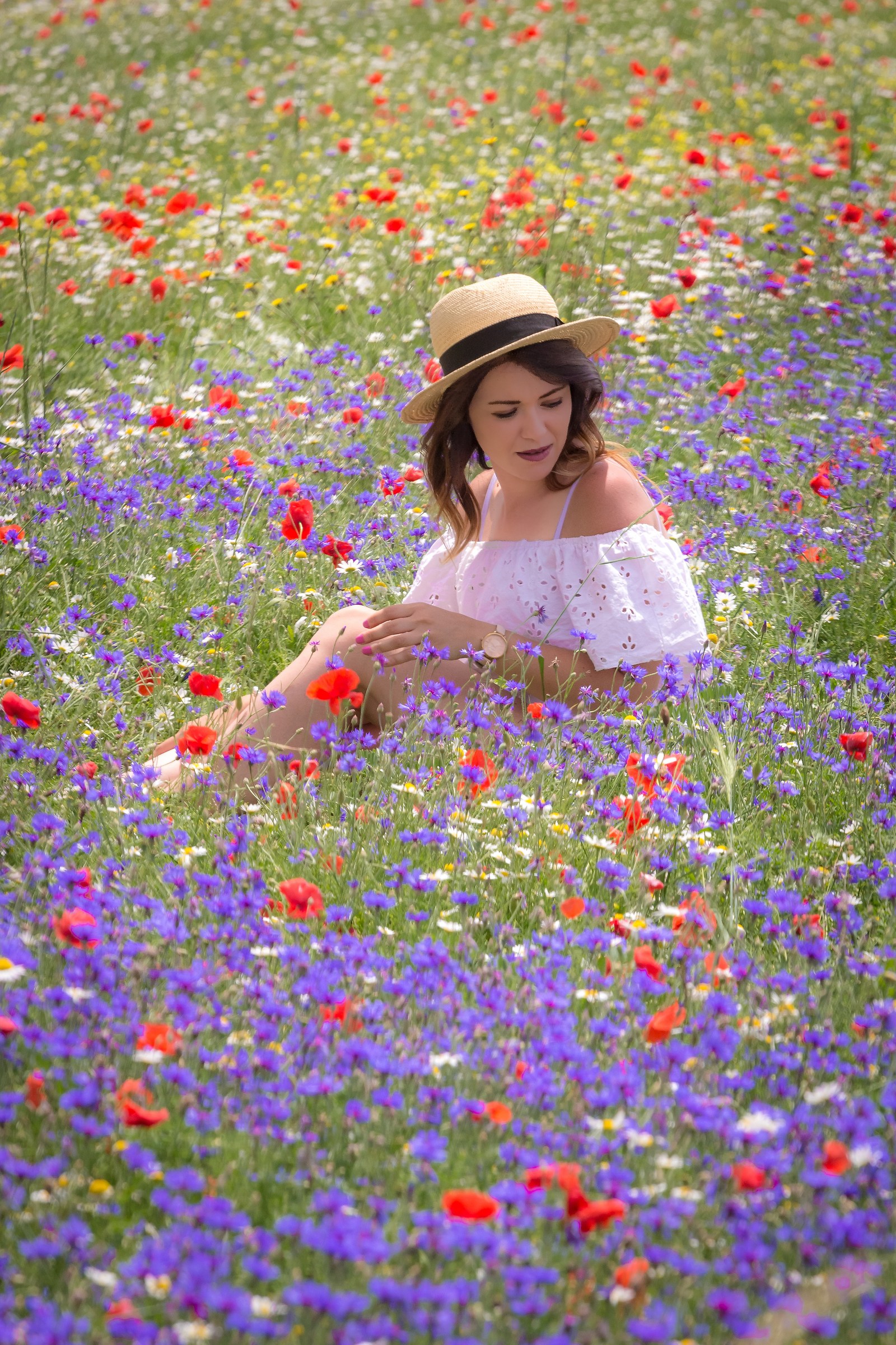 Getting lost in the colors