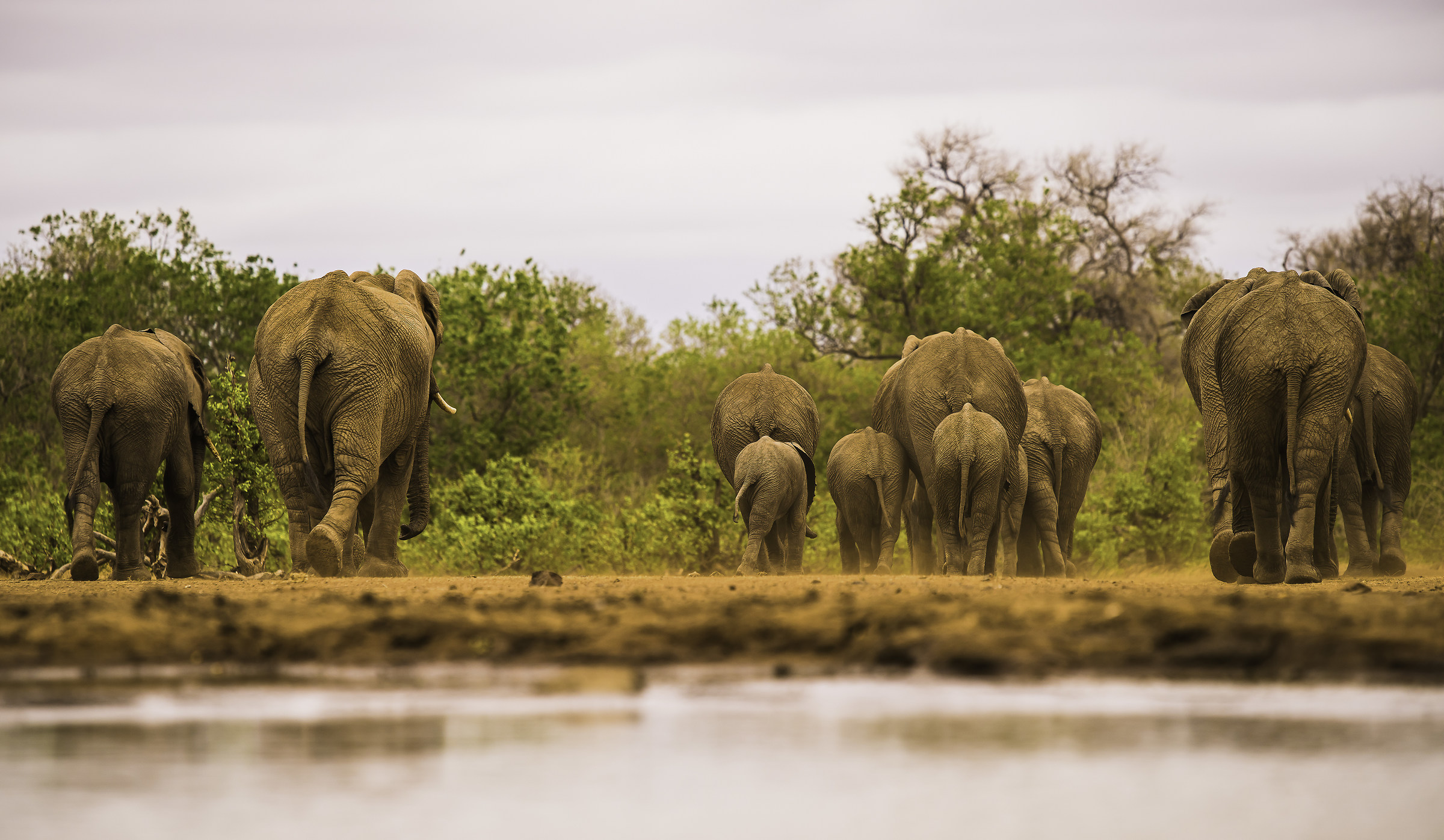dopo una bella bevuta familiare