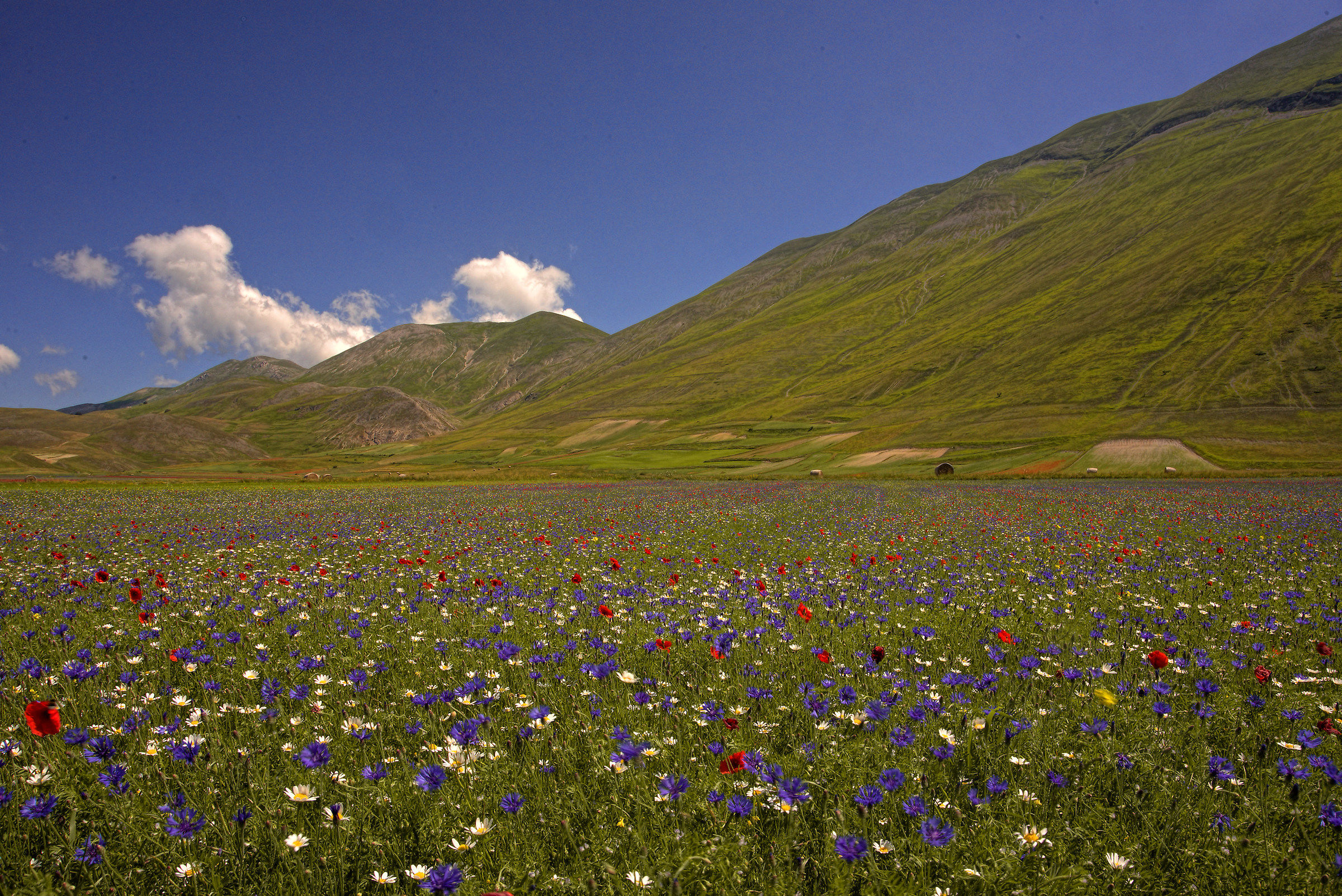 Castelluccio di Norcia
