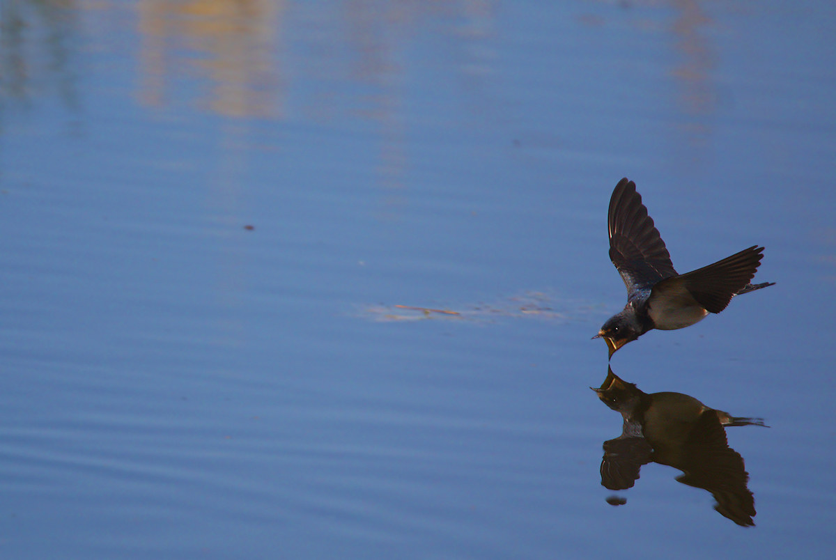 You try and retry... 2