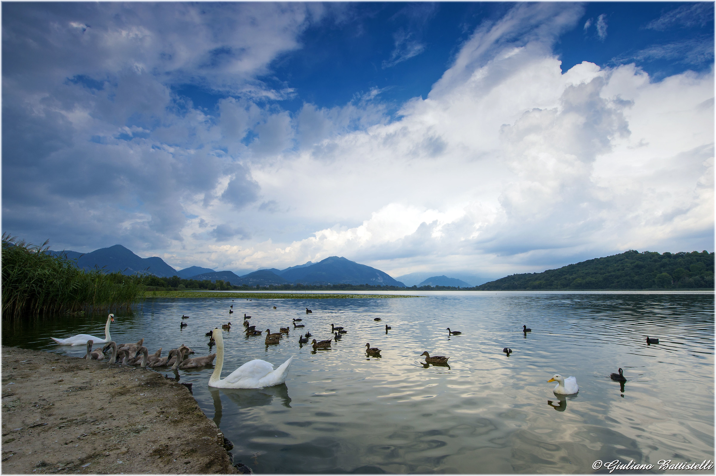 A quiet afternoon at Lake Alserio...