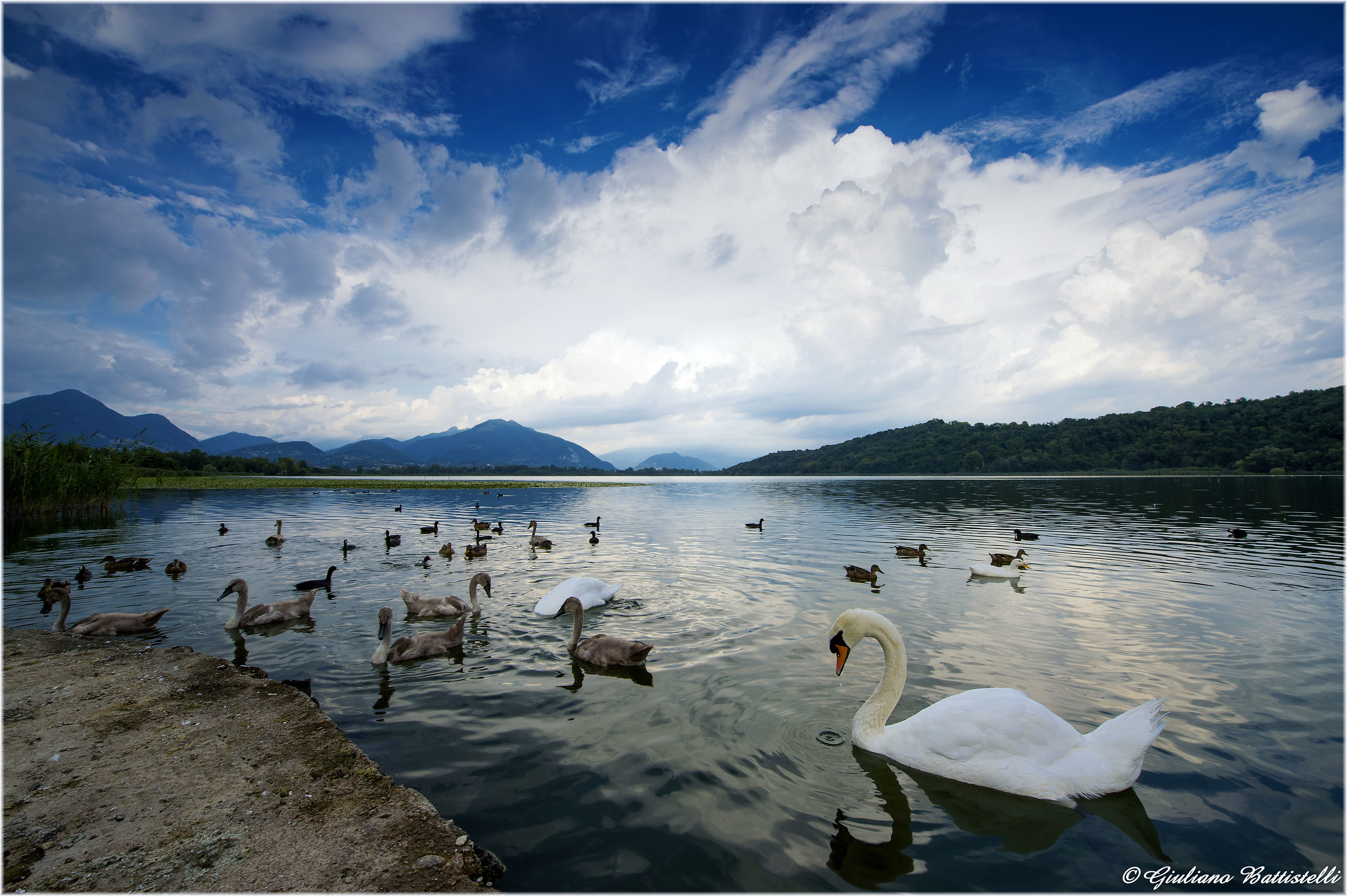 Daily activities for the inhabitants of Lake Alserio..