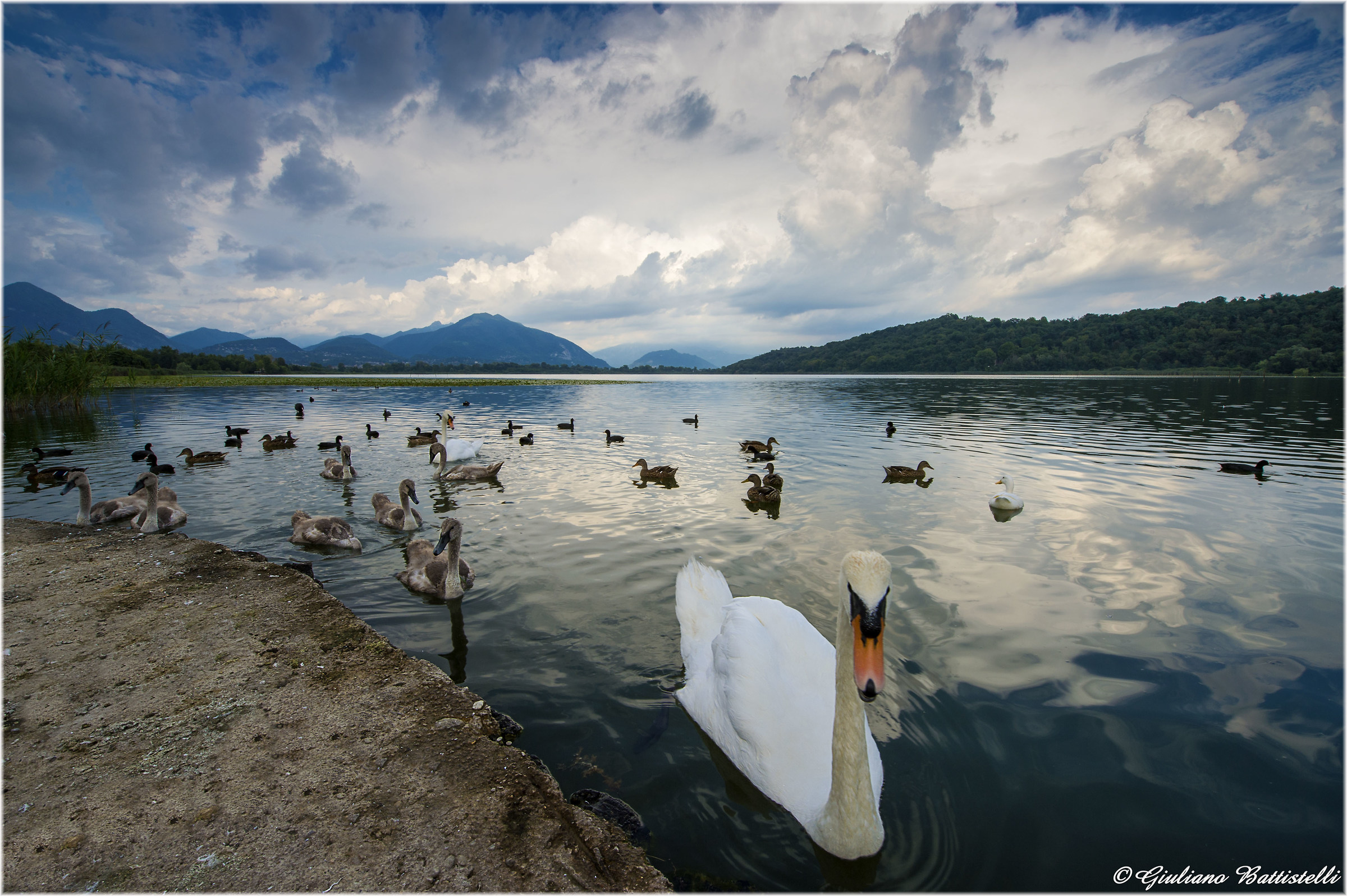 Stay away from my family!!!