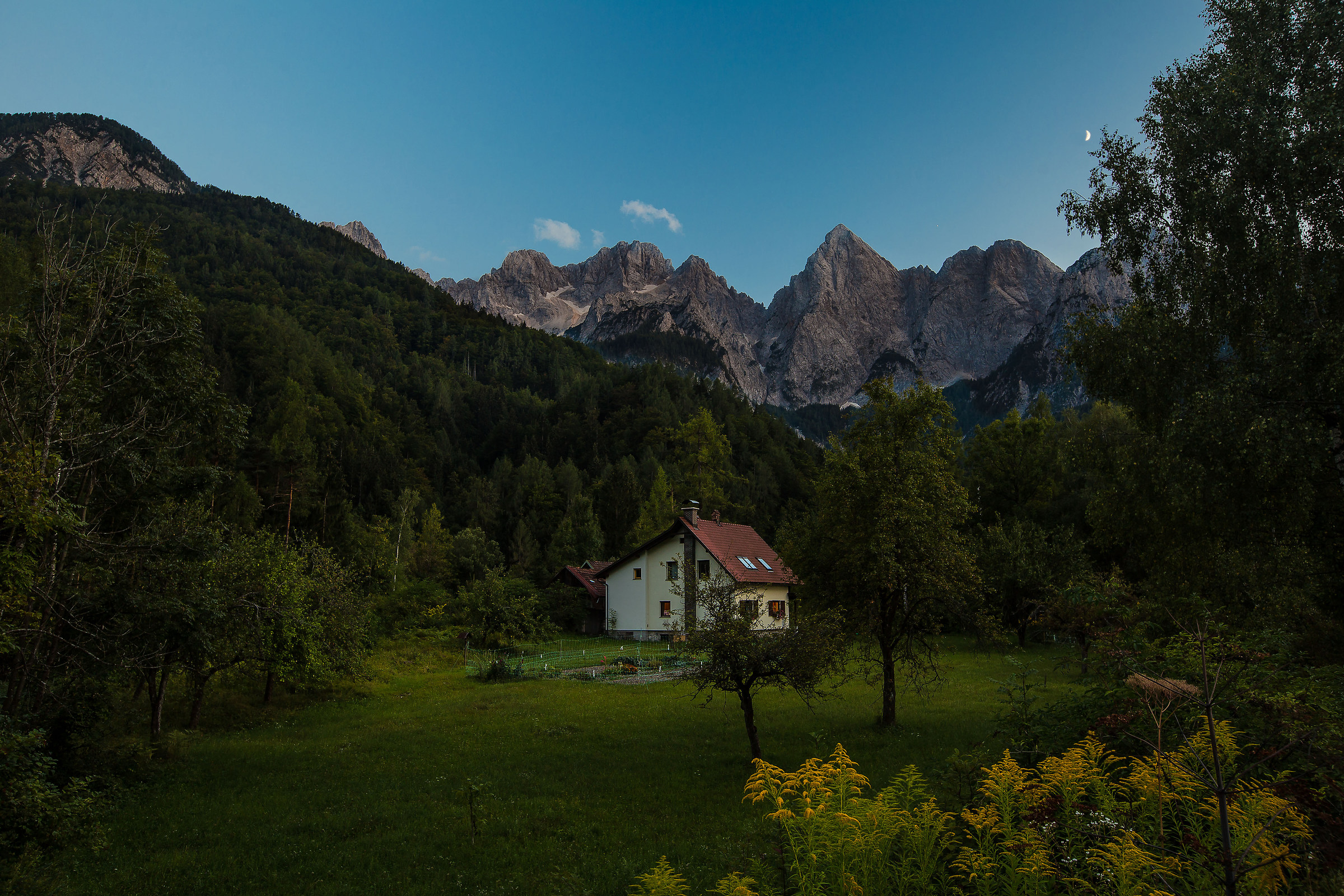 The House in the woods