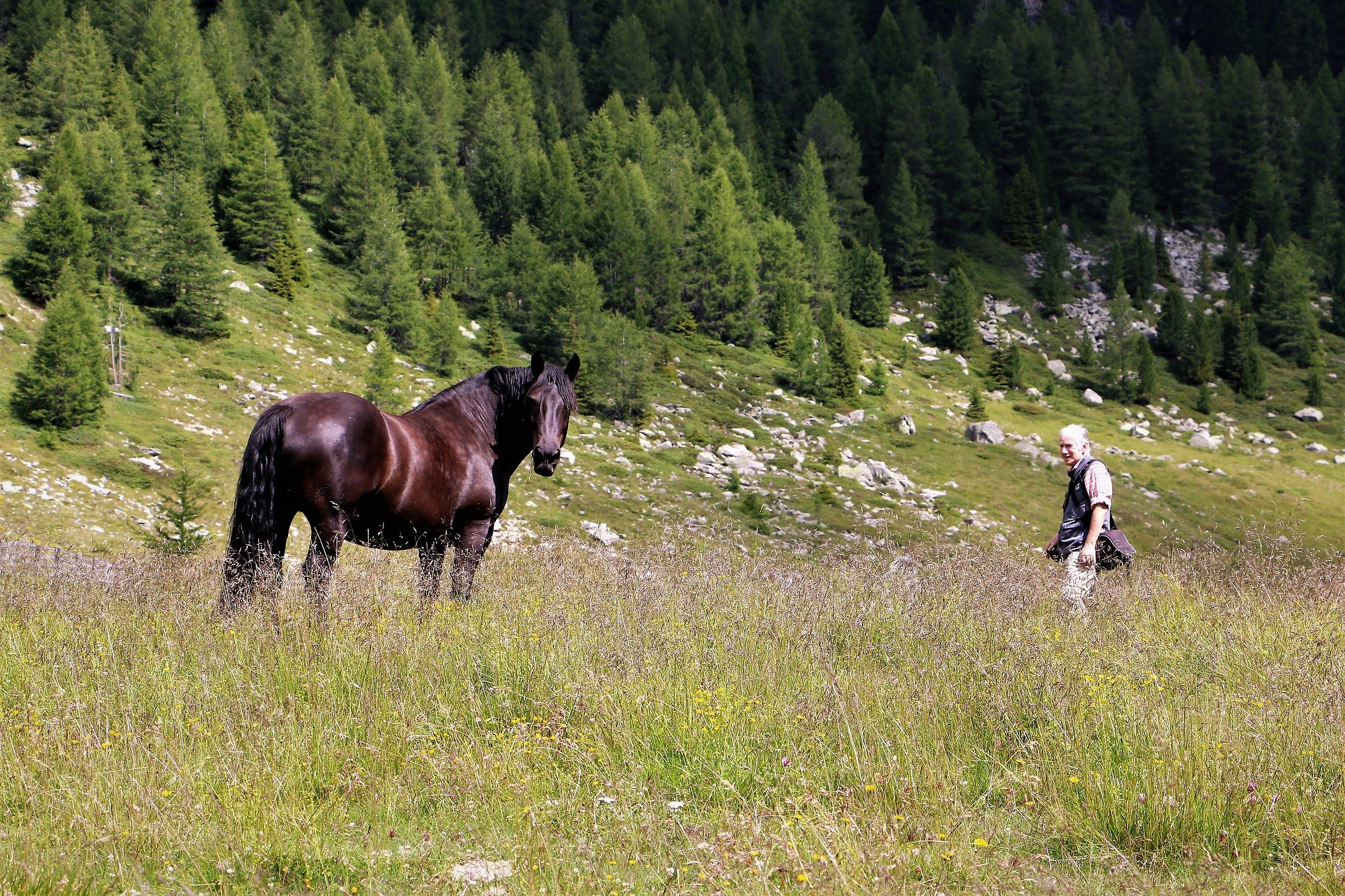 Our mythical Fulvio45