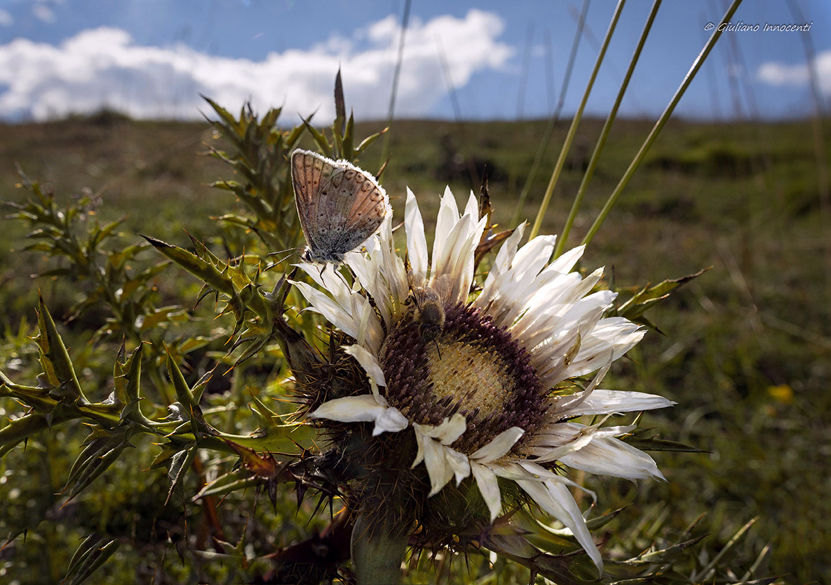 In direct contact with nature