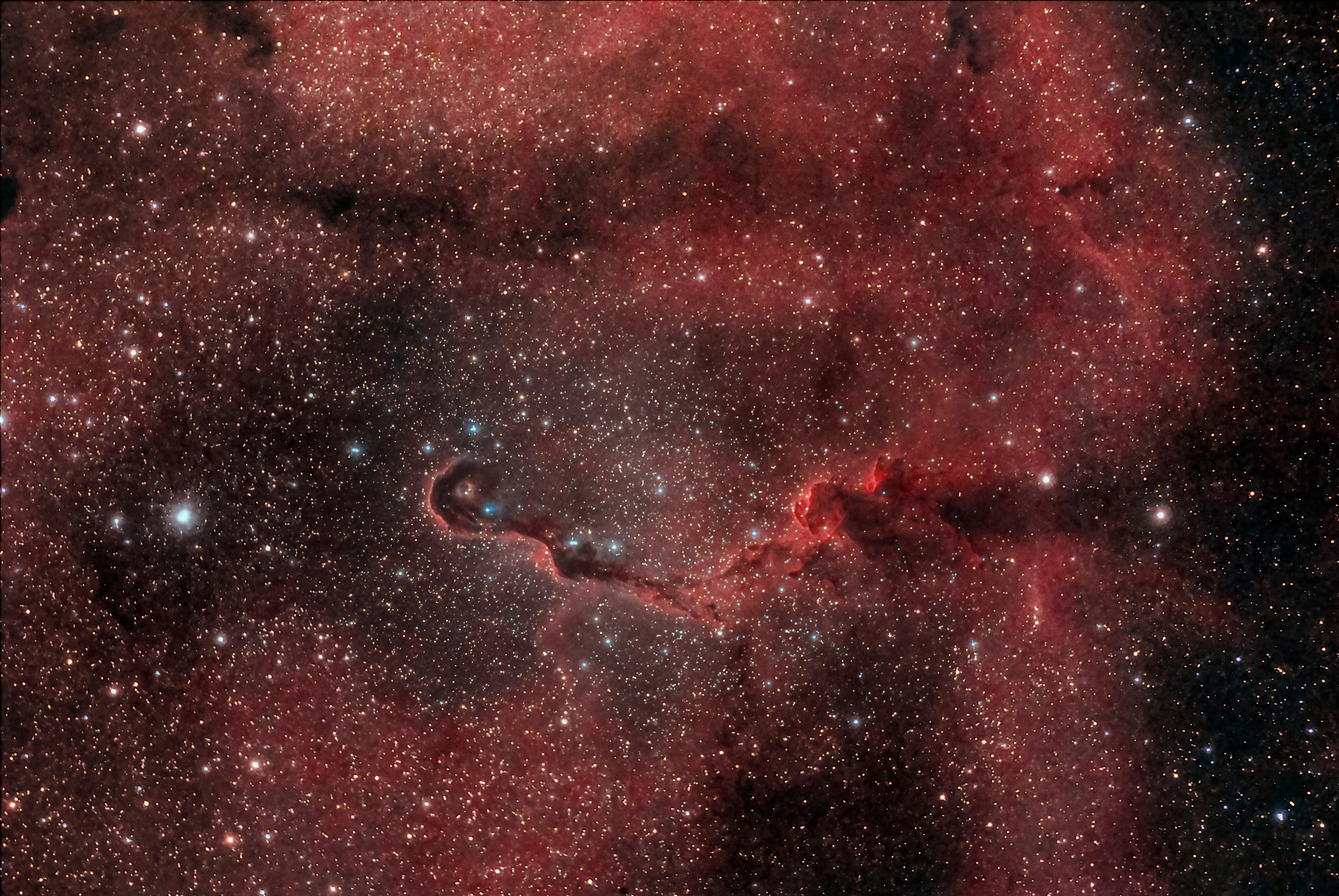 ic1396 'Elephant Trunk' nel Cefeo