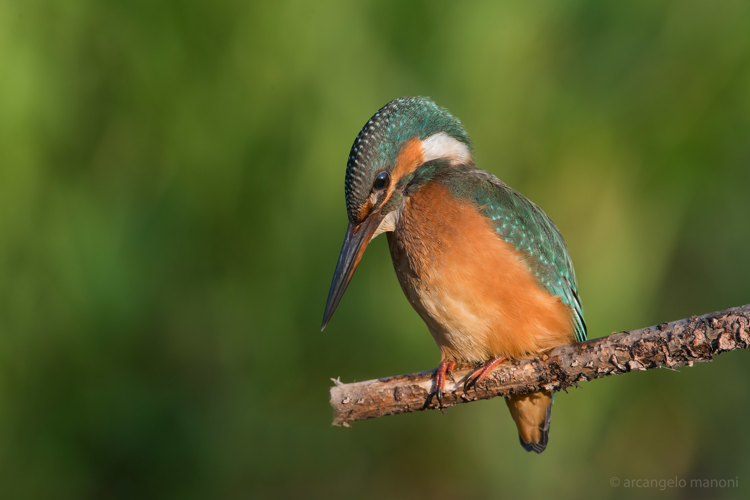 A Martina engaged in fishing