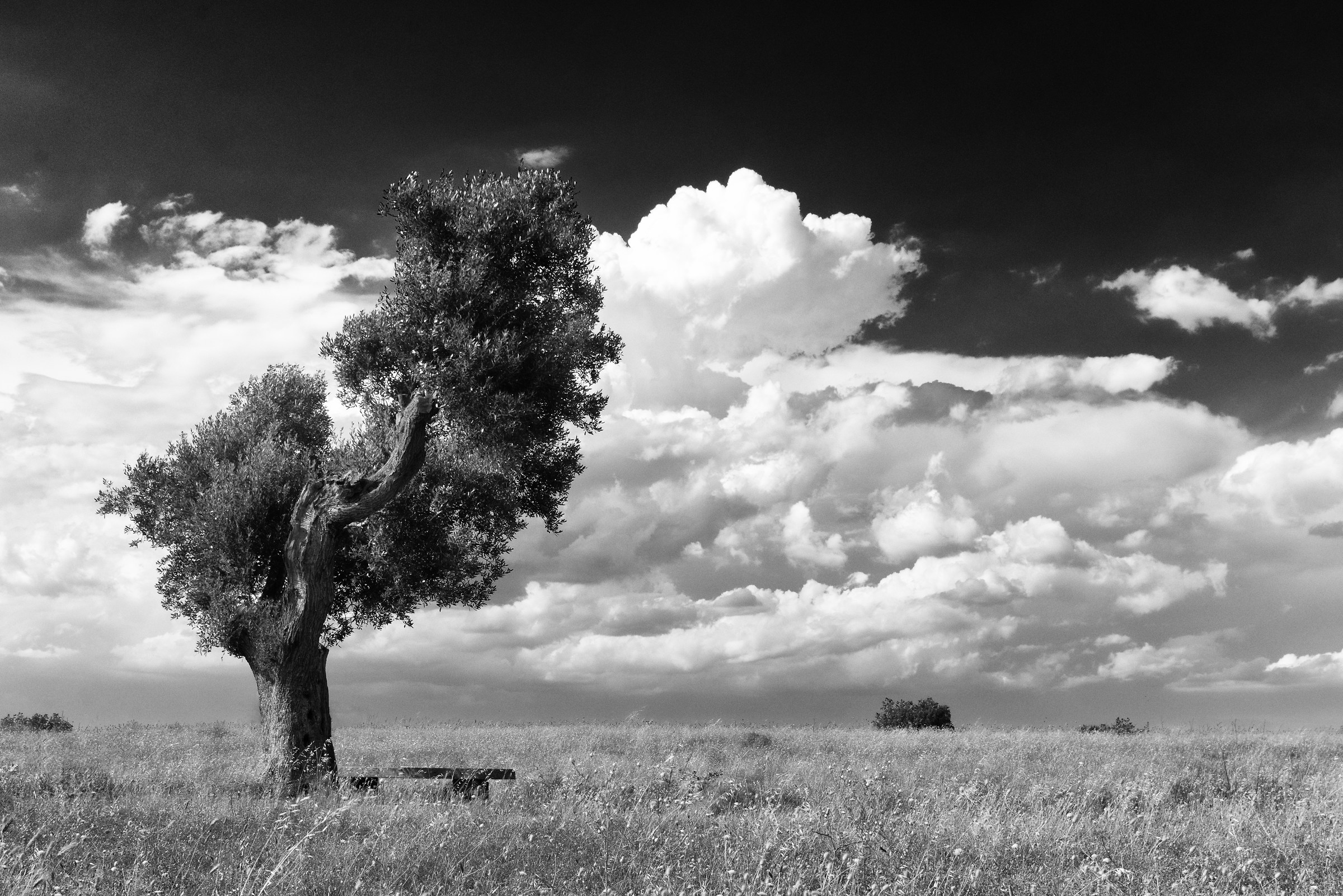 Prima fila per la tempesta