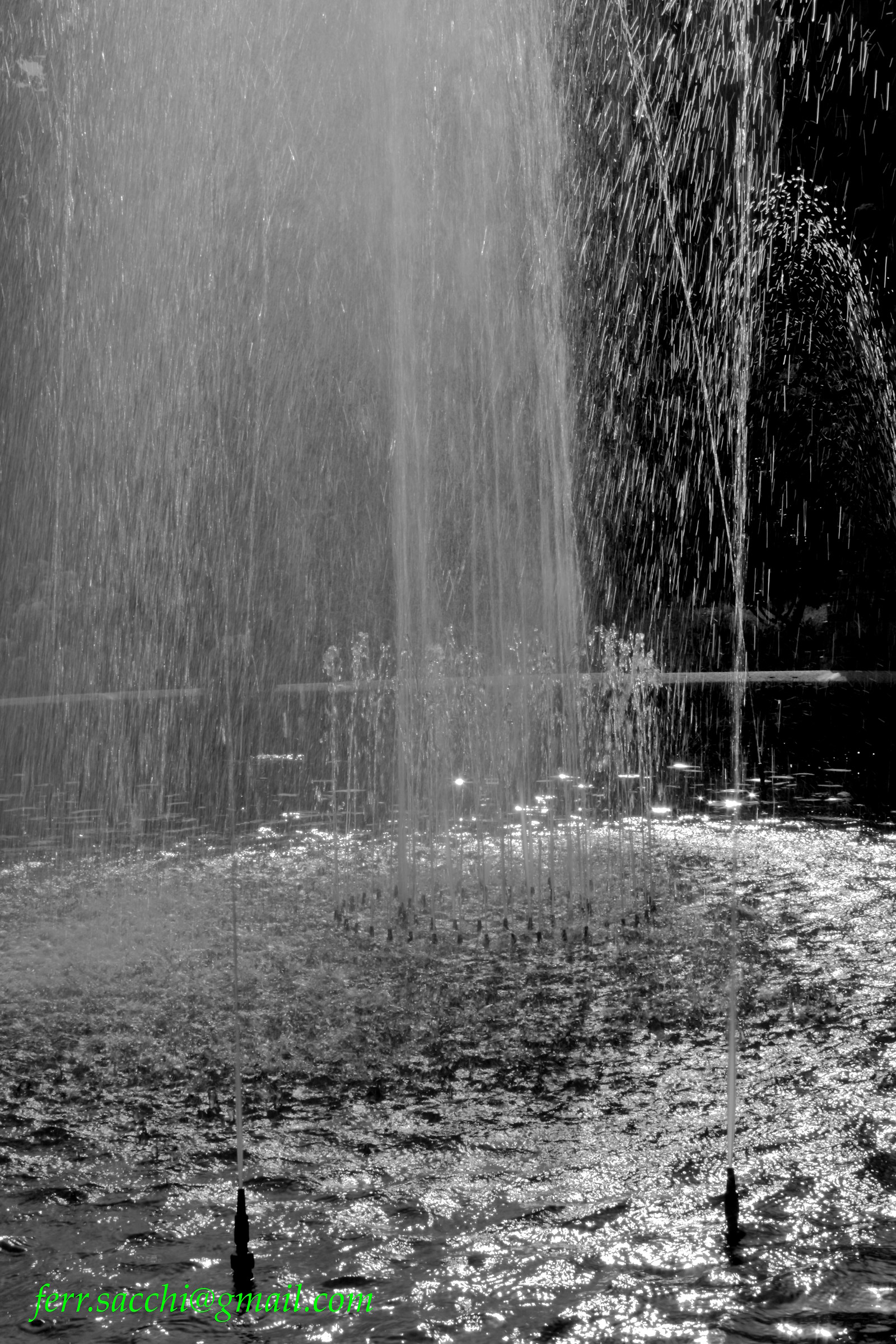 Zampilli della Fontana  Orto Botanico