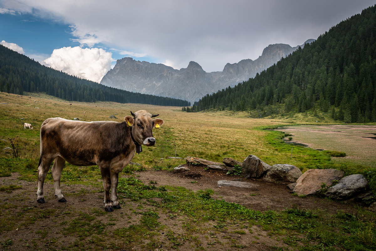 Sta piovendo! Sbrigati a farmi 'sta foto!
