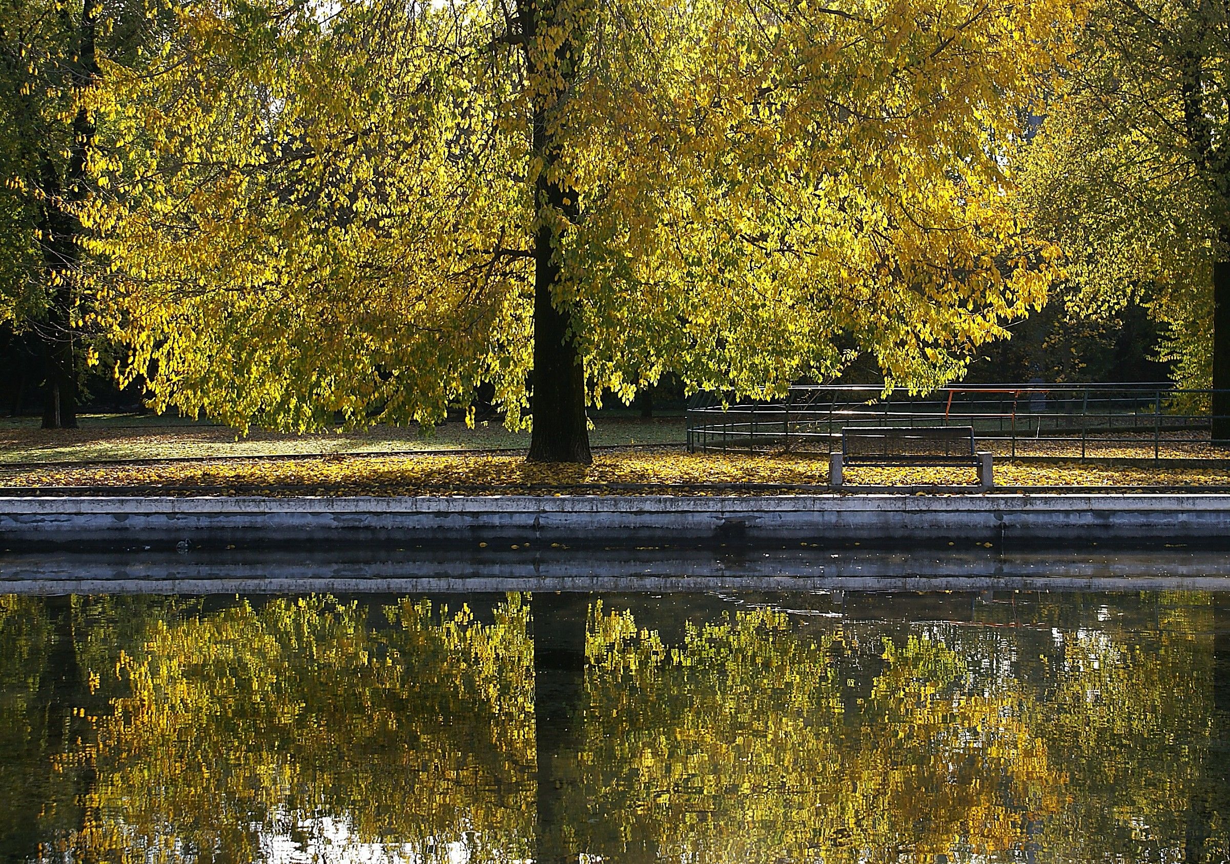 At the park, autumn