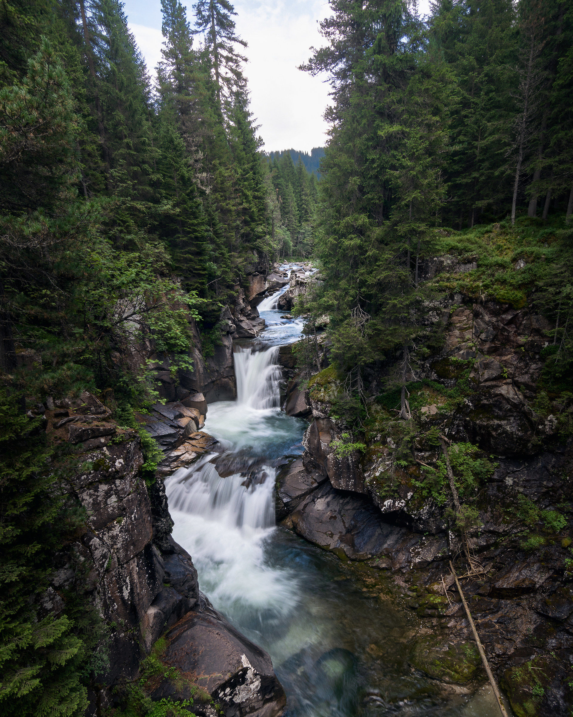 Natural Park Paneveggio