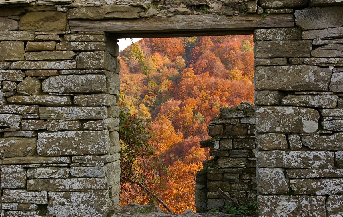 a window on autumn