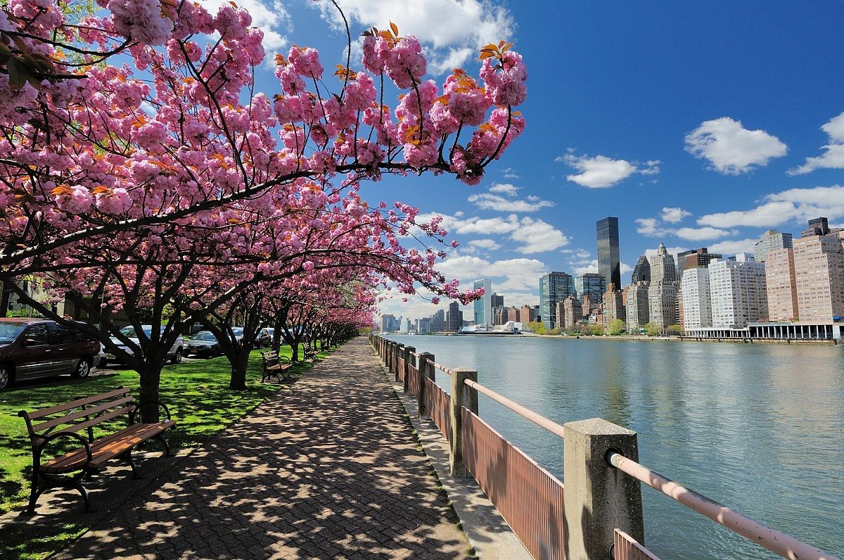 Springtime at Roosevelt Island