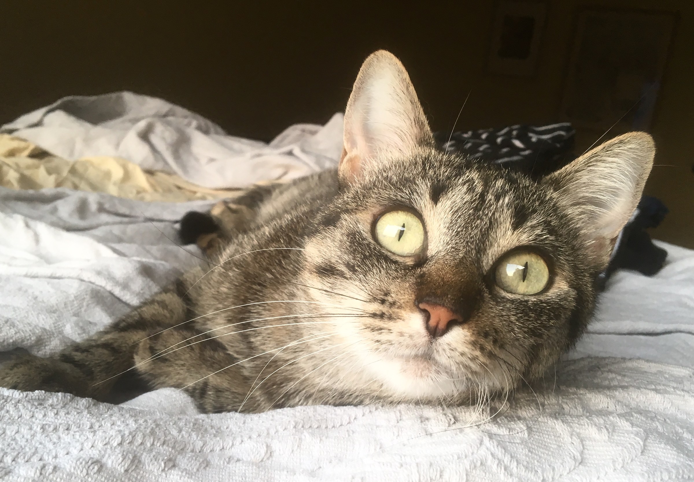 Don't touch my Laundry