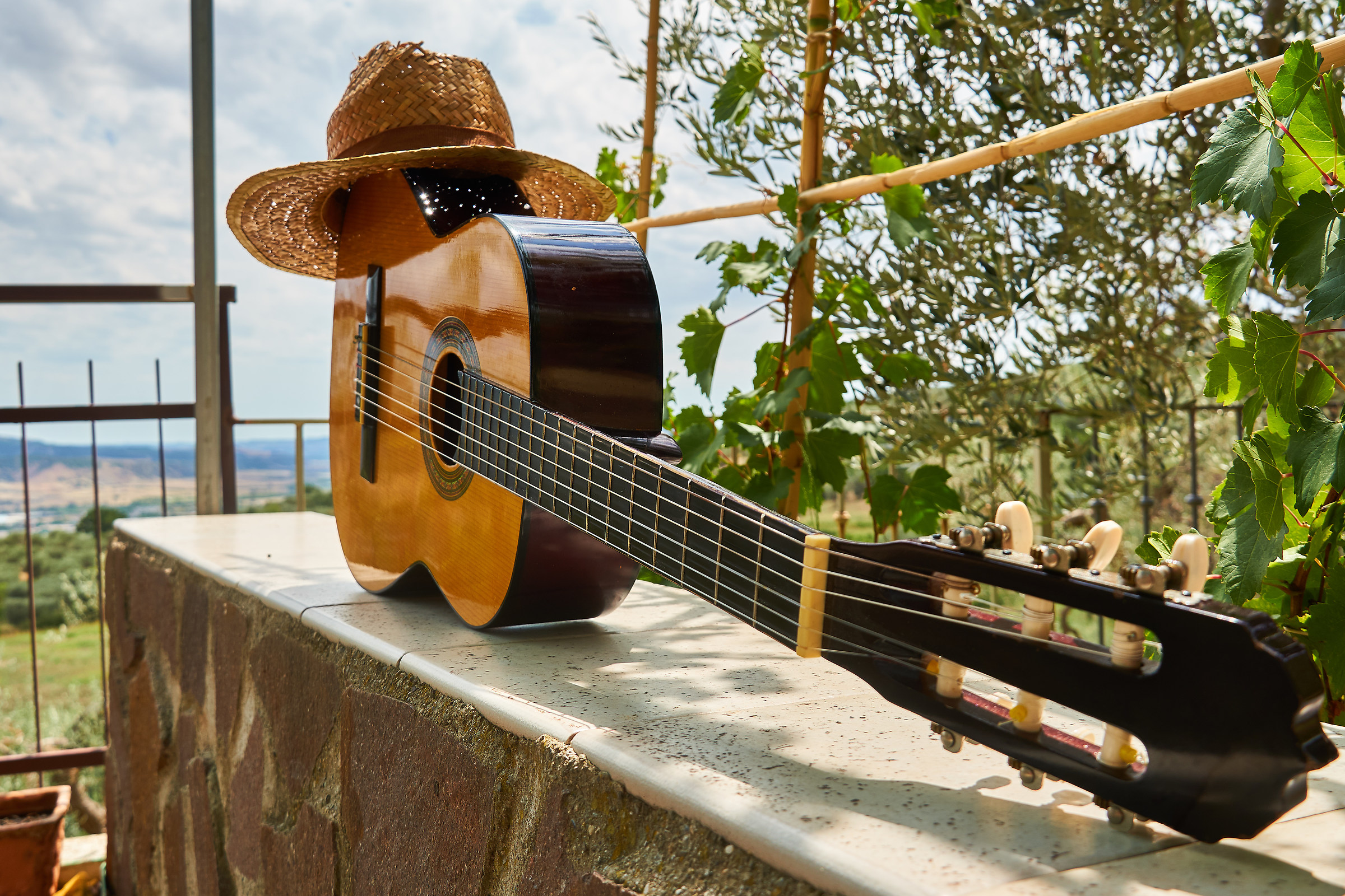 Guitar and Hat