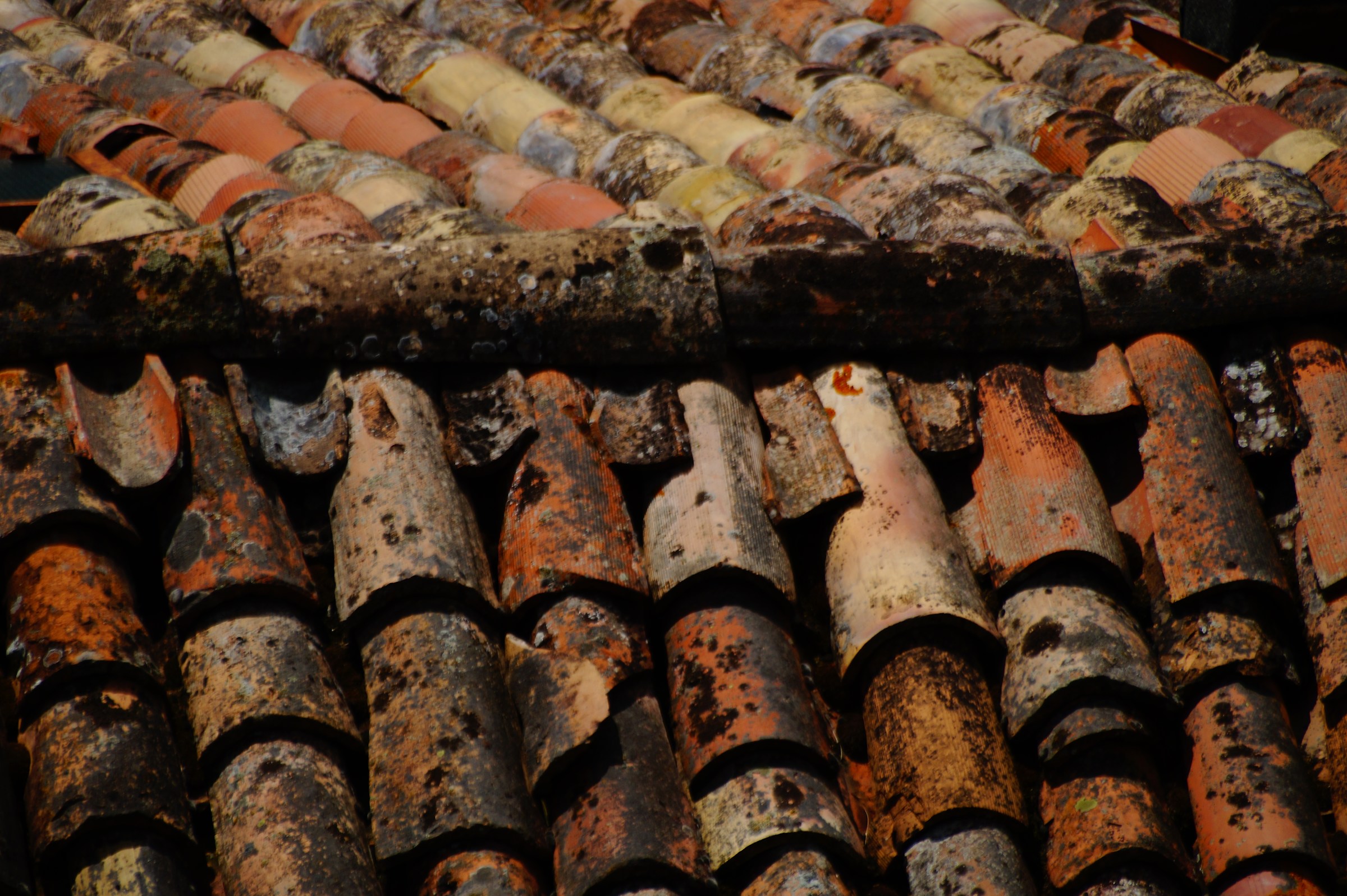 I tetti di Montecorone (Mo) 1