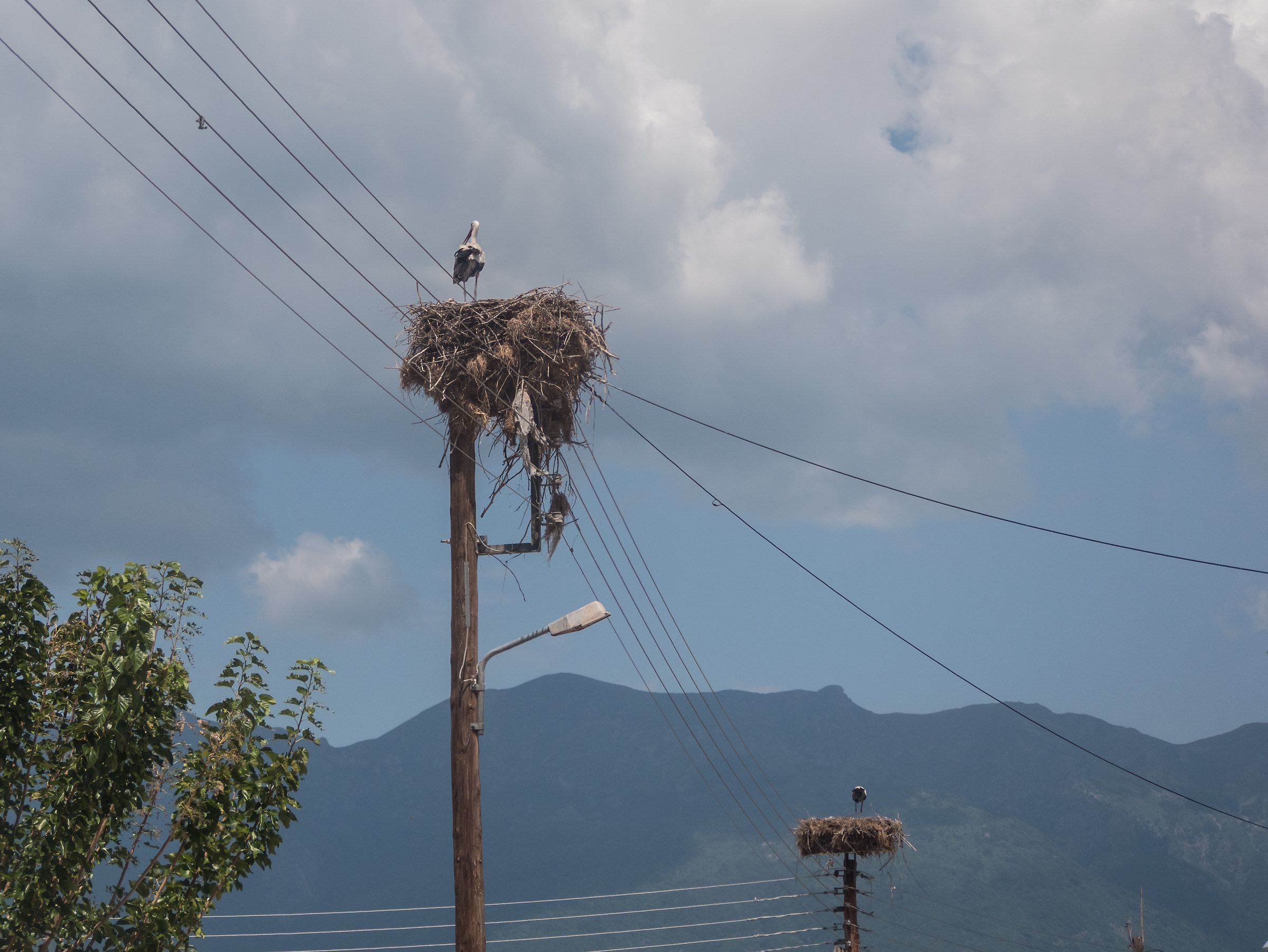 Stork's Nest-Kerkini-Greece