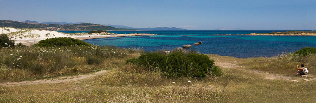 The dunes of Capo Comino