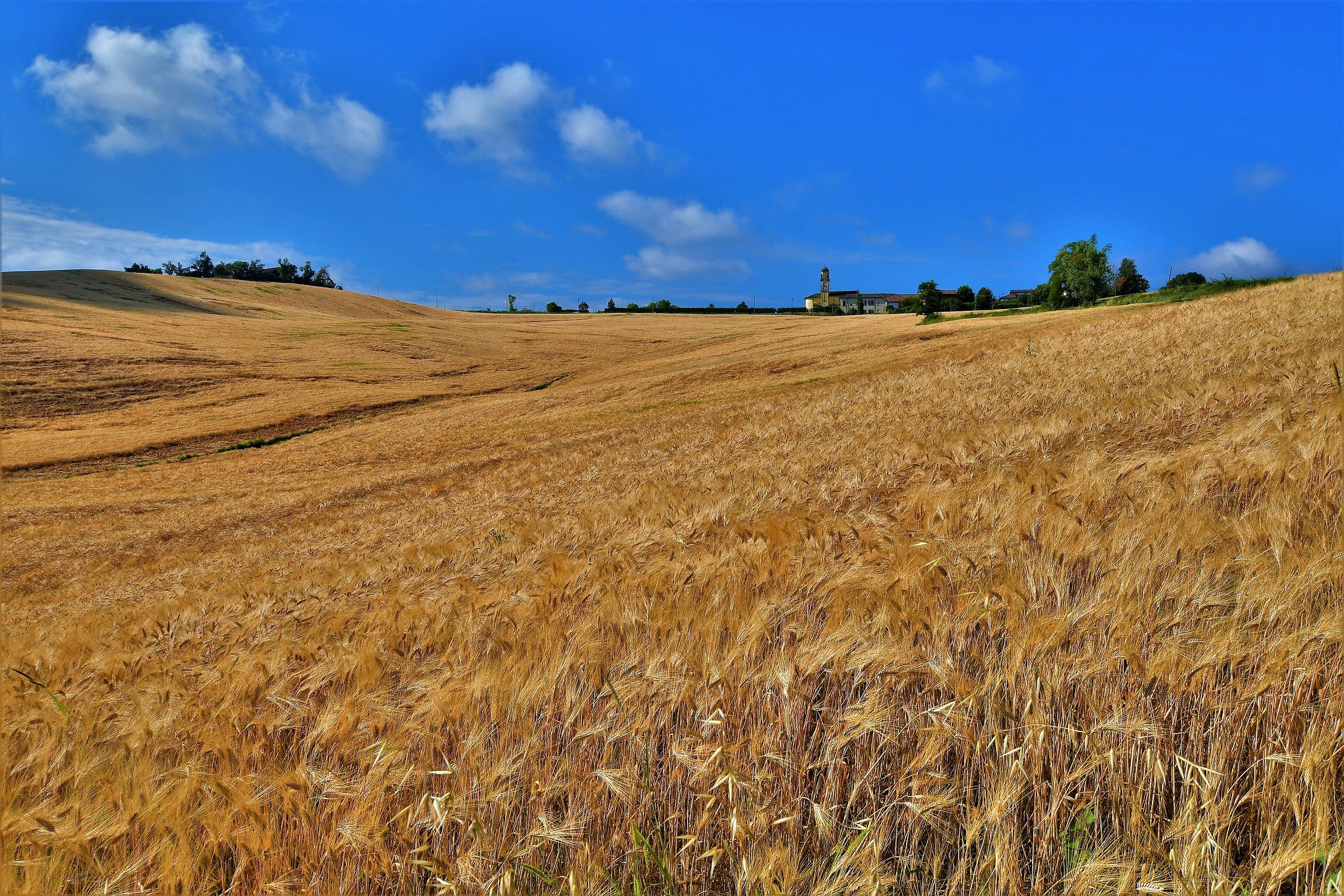 Calvignano,Oltrepò Pavese.