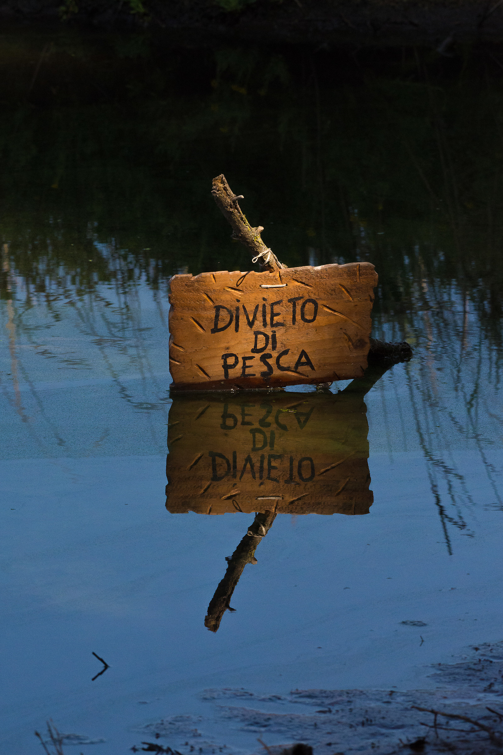 Lo leggeranno gli animali del pantano?